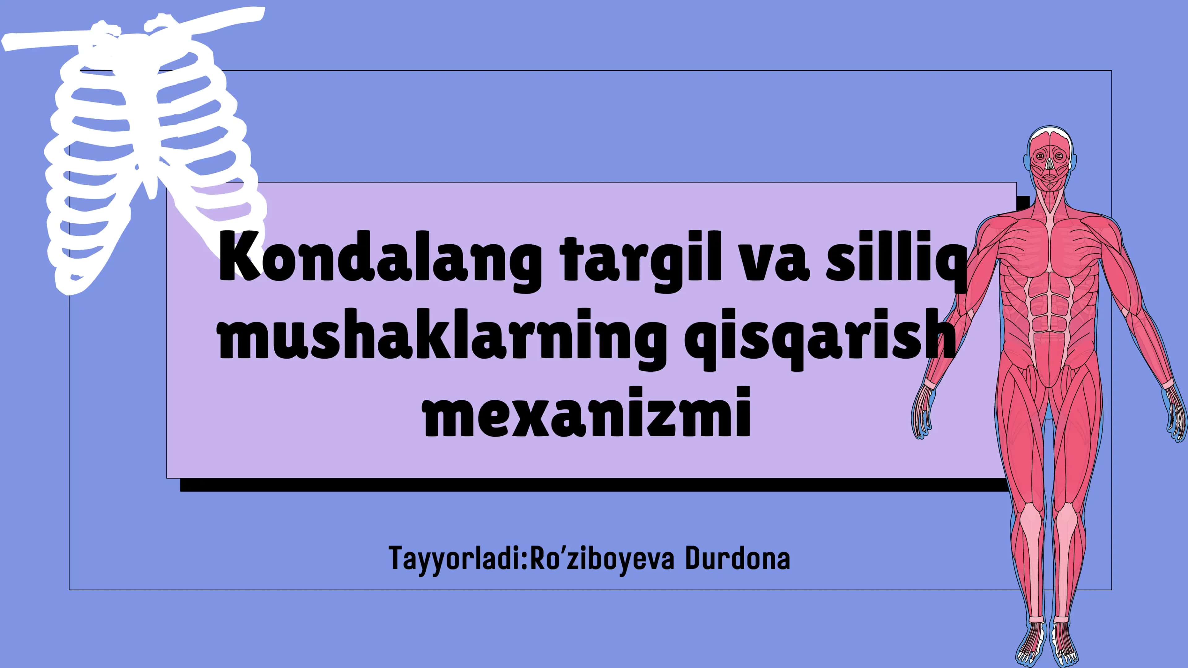 Kondalang targ'il va silliq mushaklarning qisqarish mexanizmi 1
