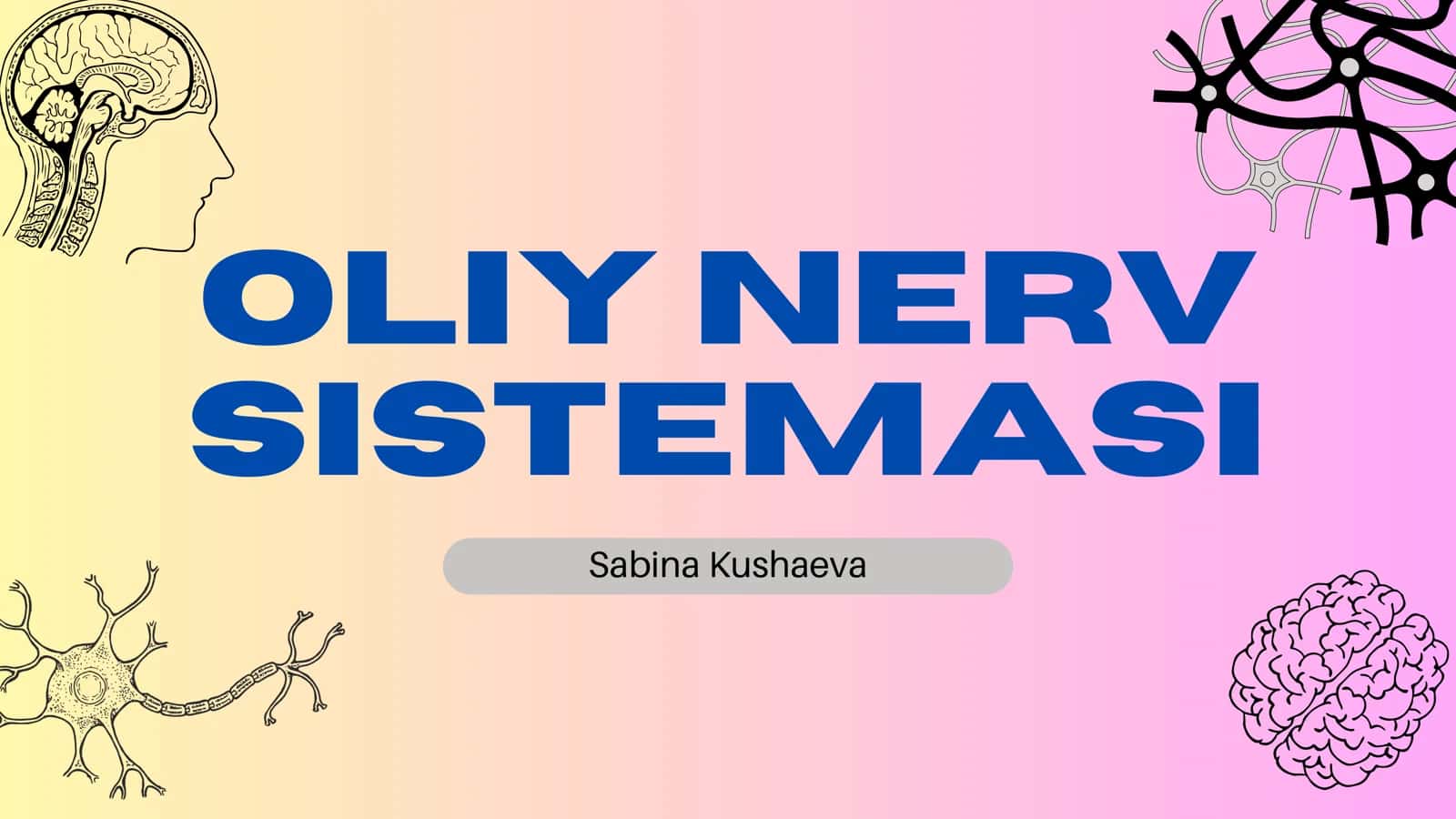 Oliy Nerv Sistemasi 1