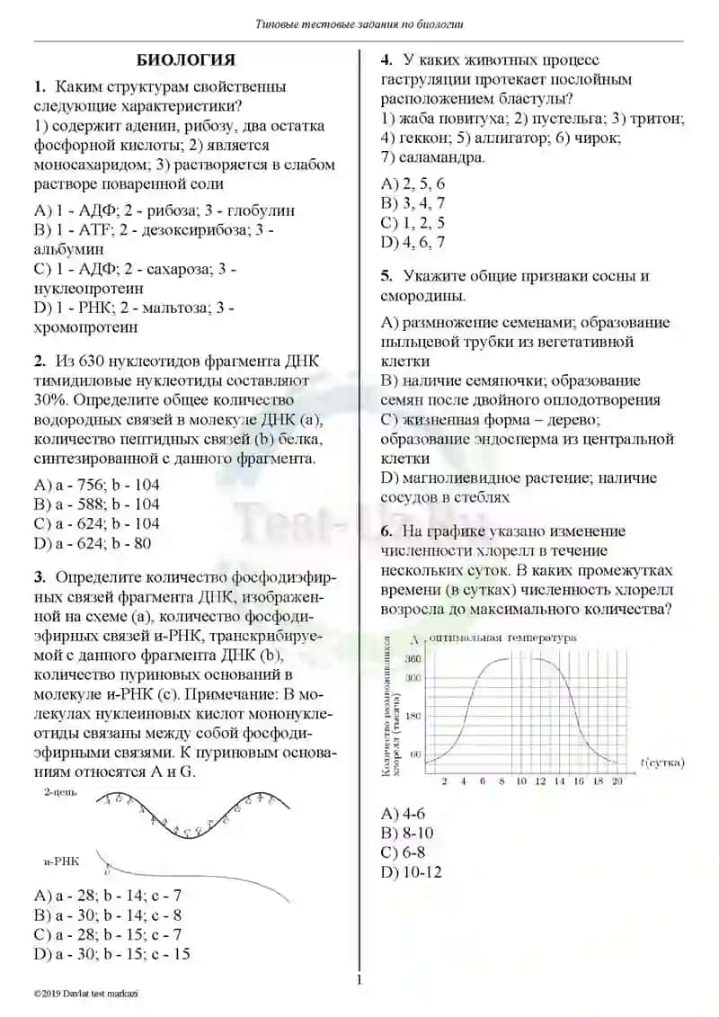 Биология test