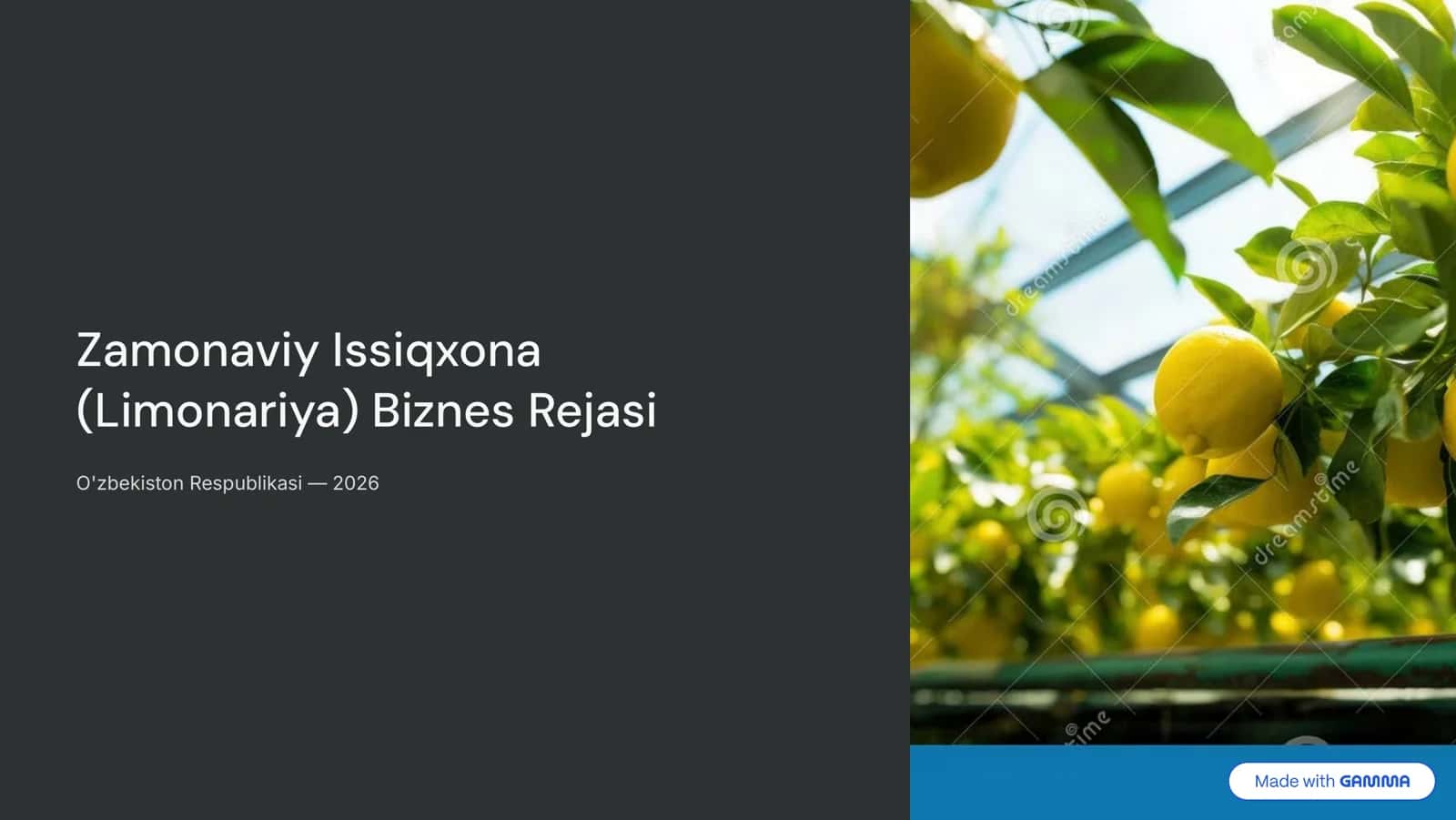 Zamonaviy Issiqxona (Limonariya) Biznes Rejasi 1