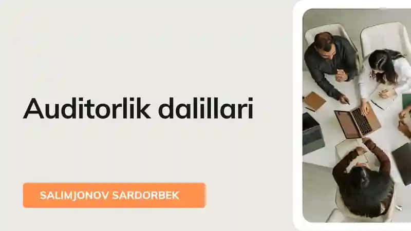 Auditorlik dalillari