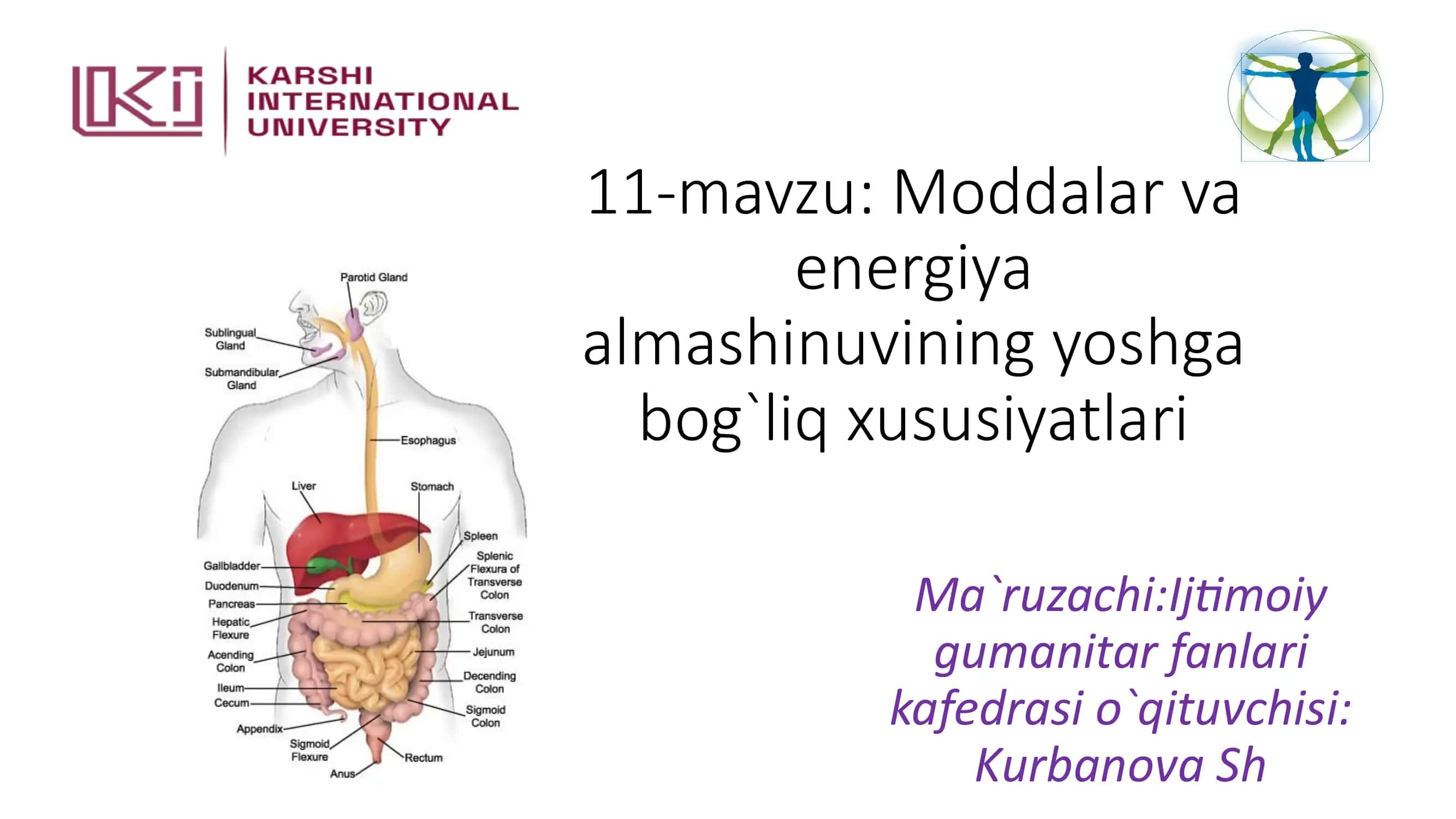 Moddalar va energiya almashinuvi 1