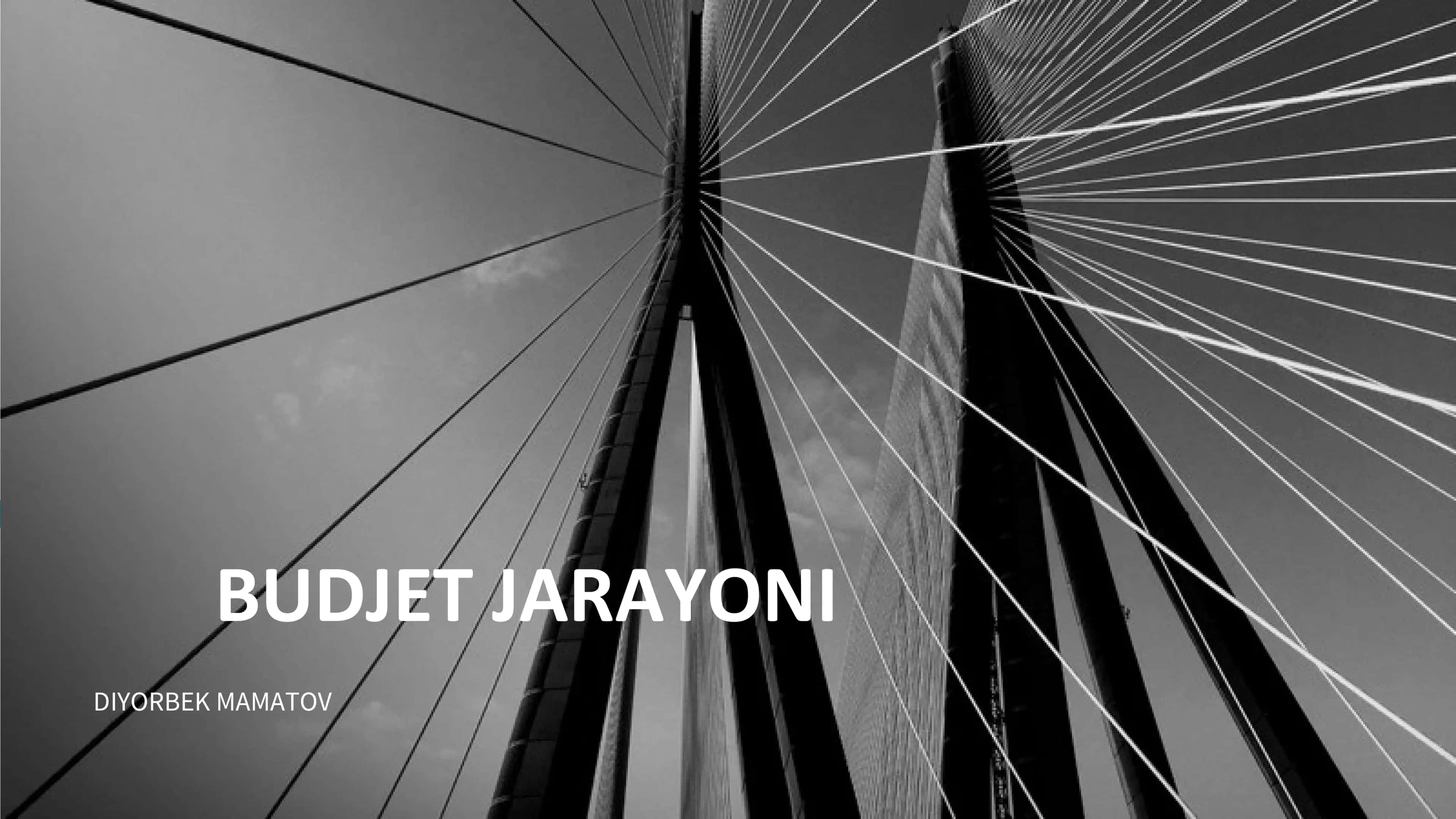 Budjet jarayoni 1