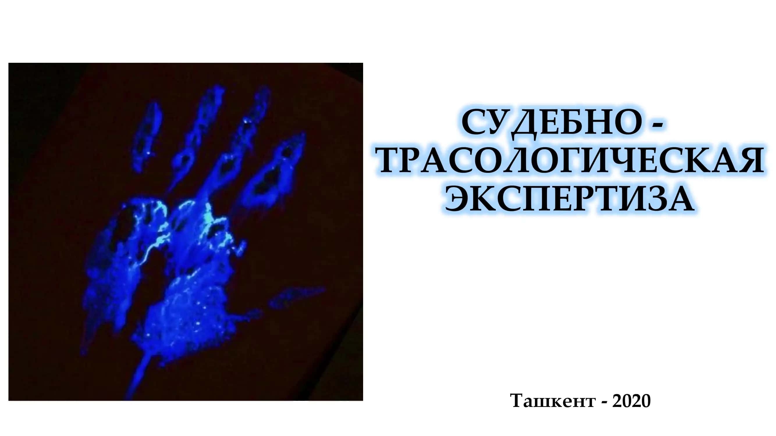 СУДЕБНО - ТРАСОЛОГИЧЕСКАЯ ЭКСПЕРТИЗА 1