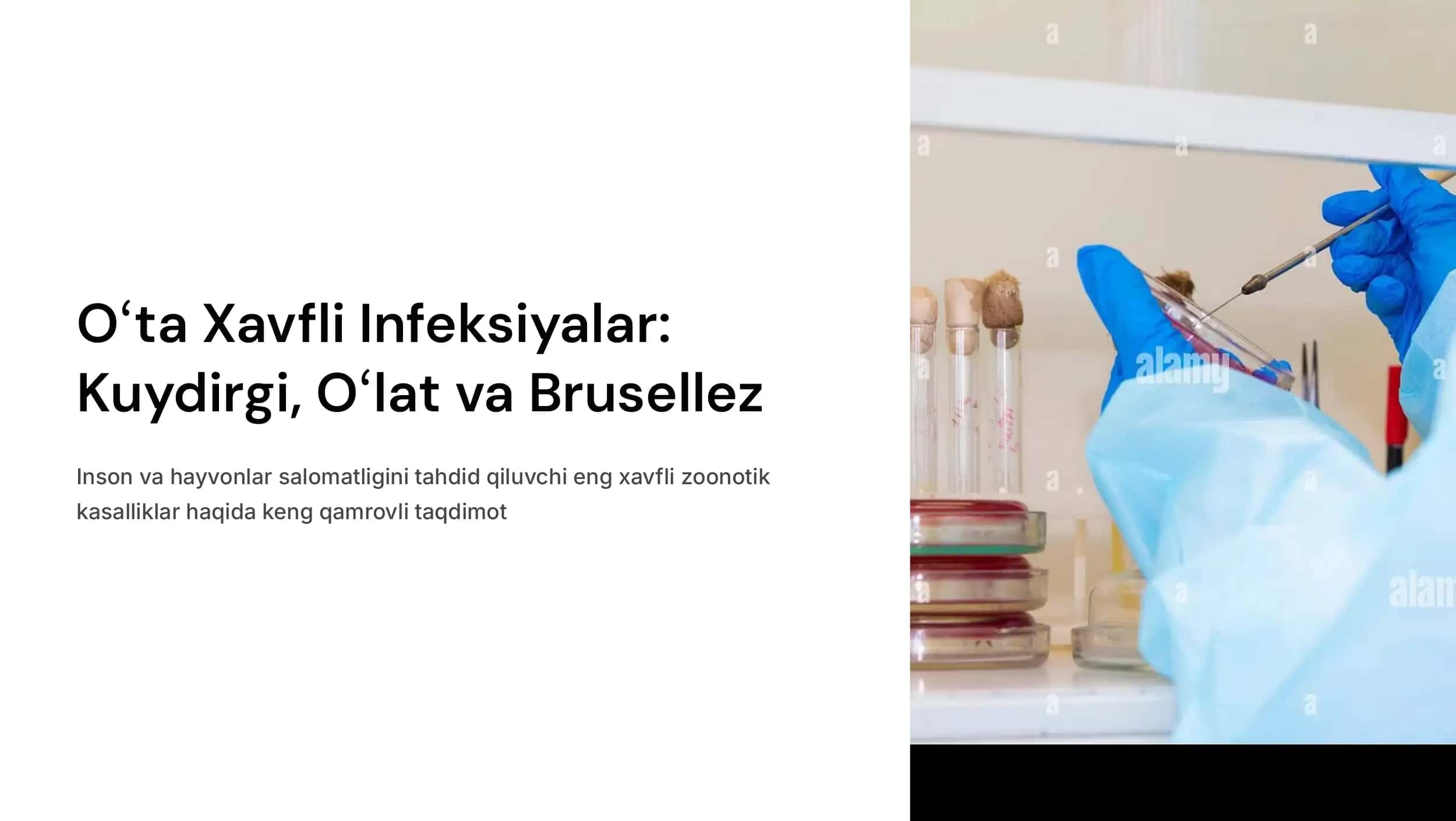 Oʻta xavfli infeksiyalar  (kuydirgi, oʻlat,  brusellez).. 1