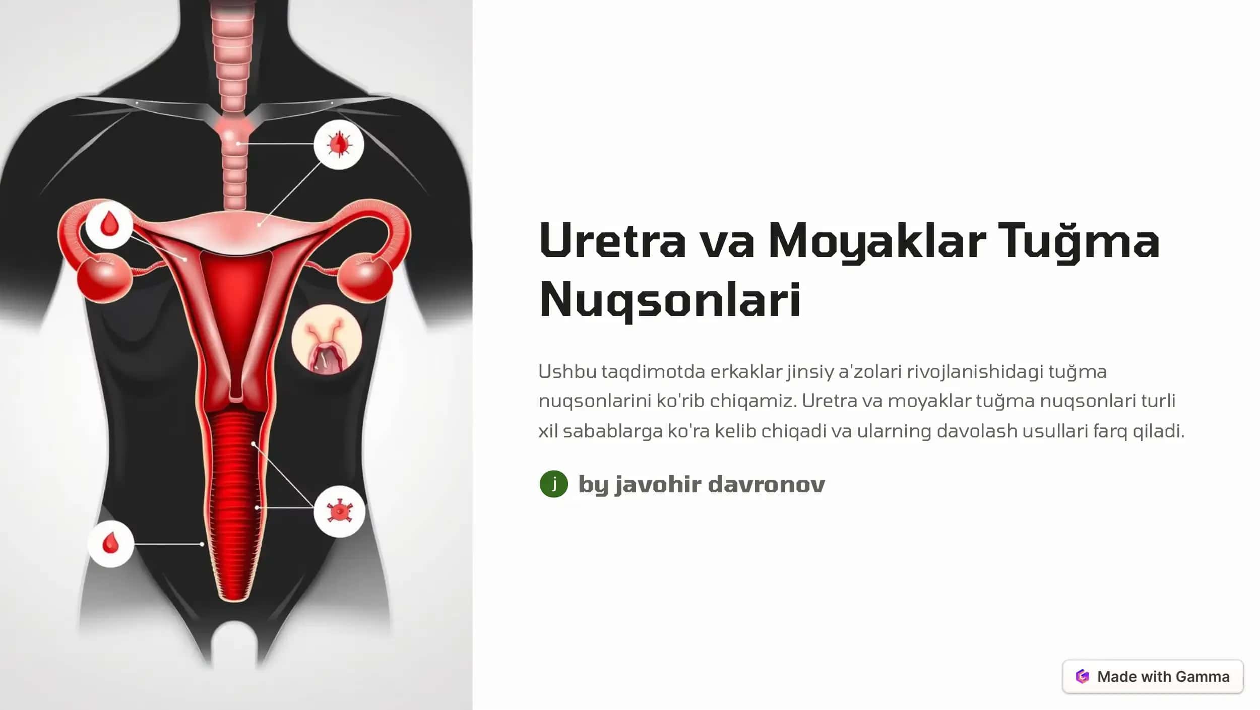 Uretra va Moyaklar Tuğma 1