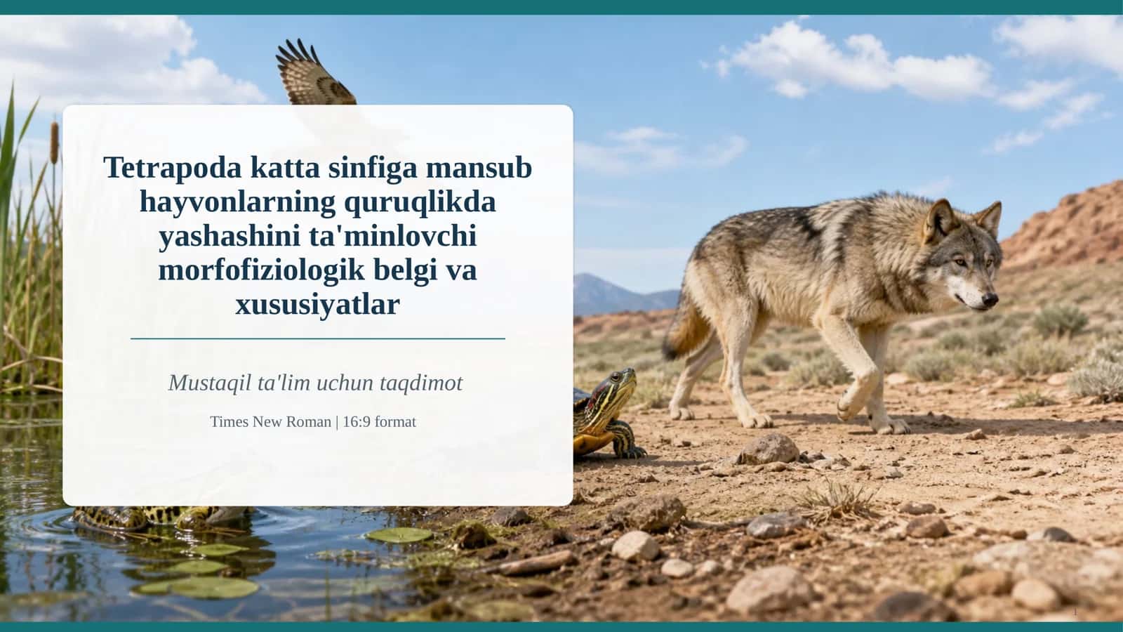 Tetrapoda katta sinfiga mansub hayvonlarning quruqlikda yashashini ta'minlovchi morfofiziologik belgi va xususiyatlar 1