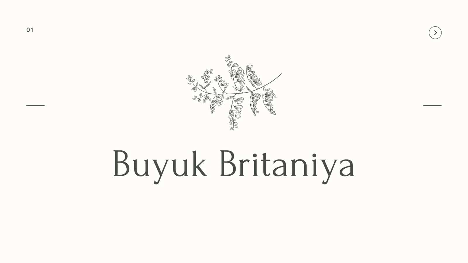 Buyuk Britaniya 1