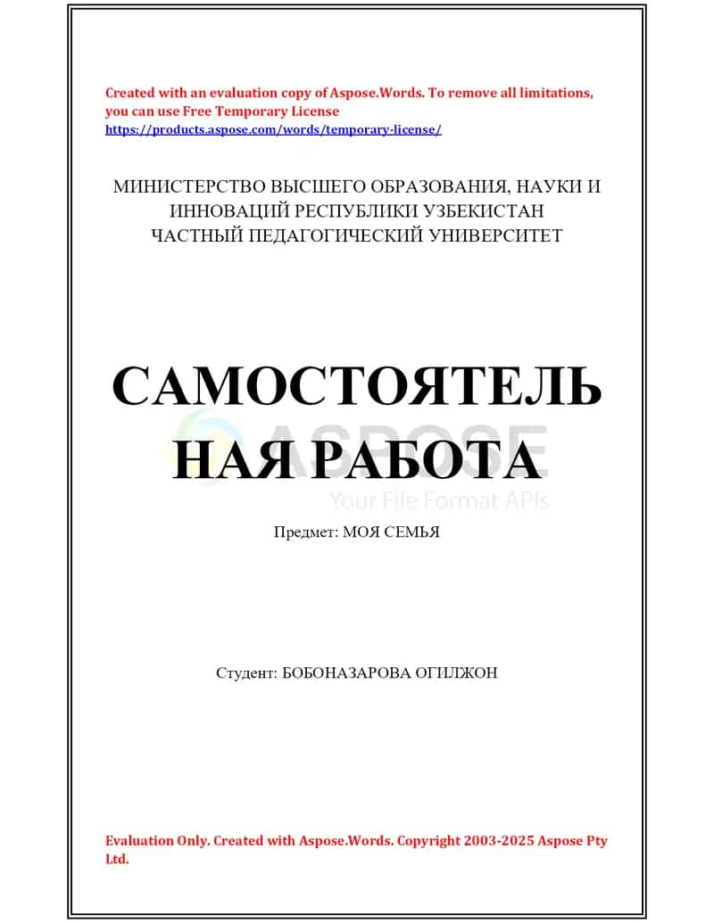 Самостоятельная работа «Моя семья» 1