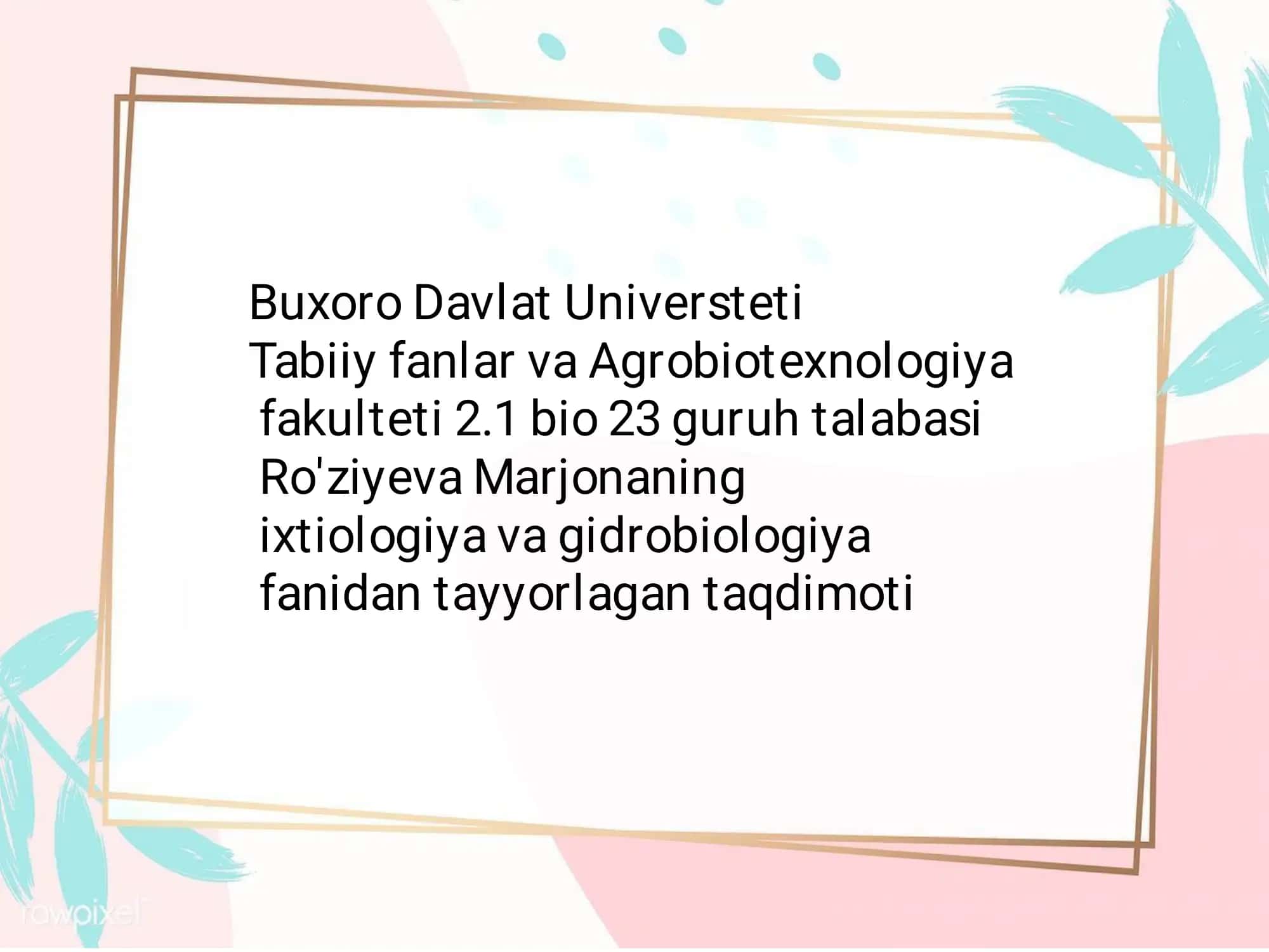 Taqdimot 1