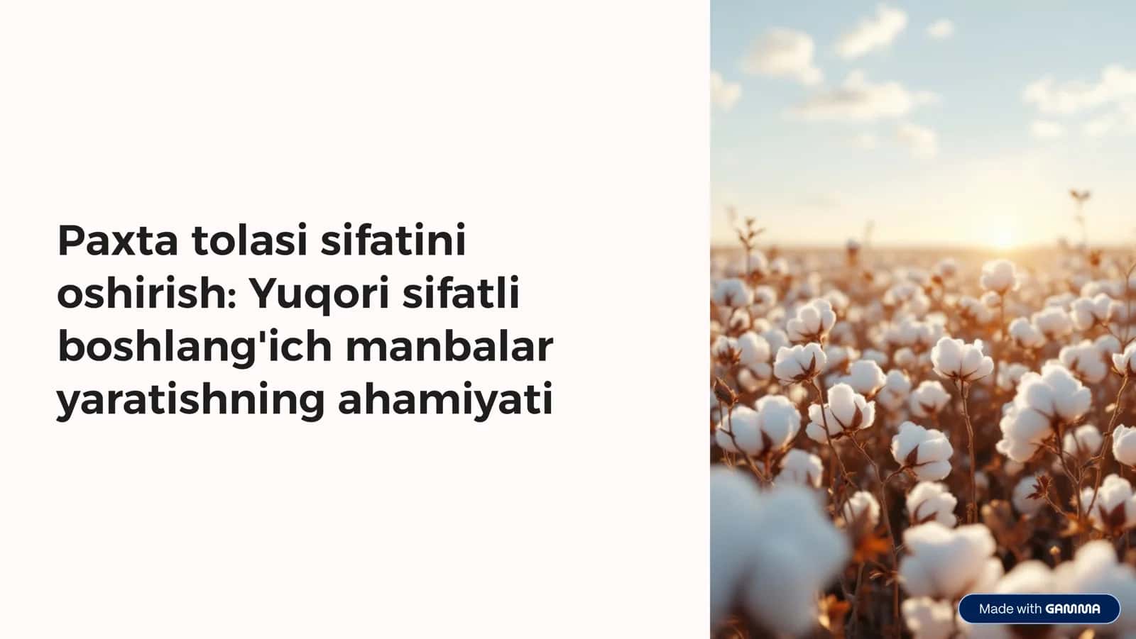Paxta tolasi sifatini oshirish: Yuqori sifatli boshlang'ich manbalar yaratishning ahamiyati 1