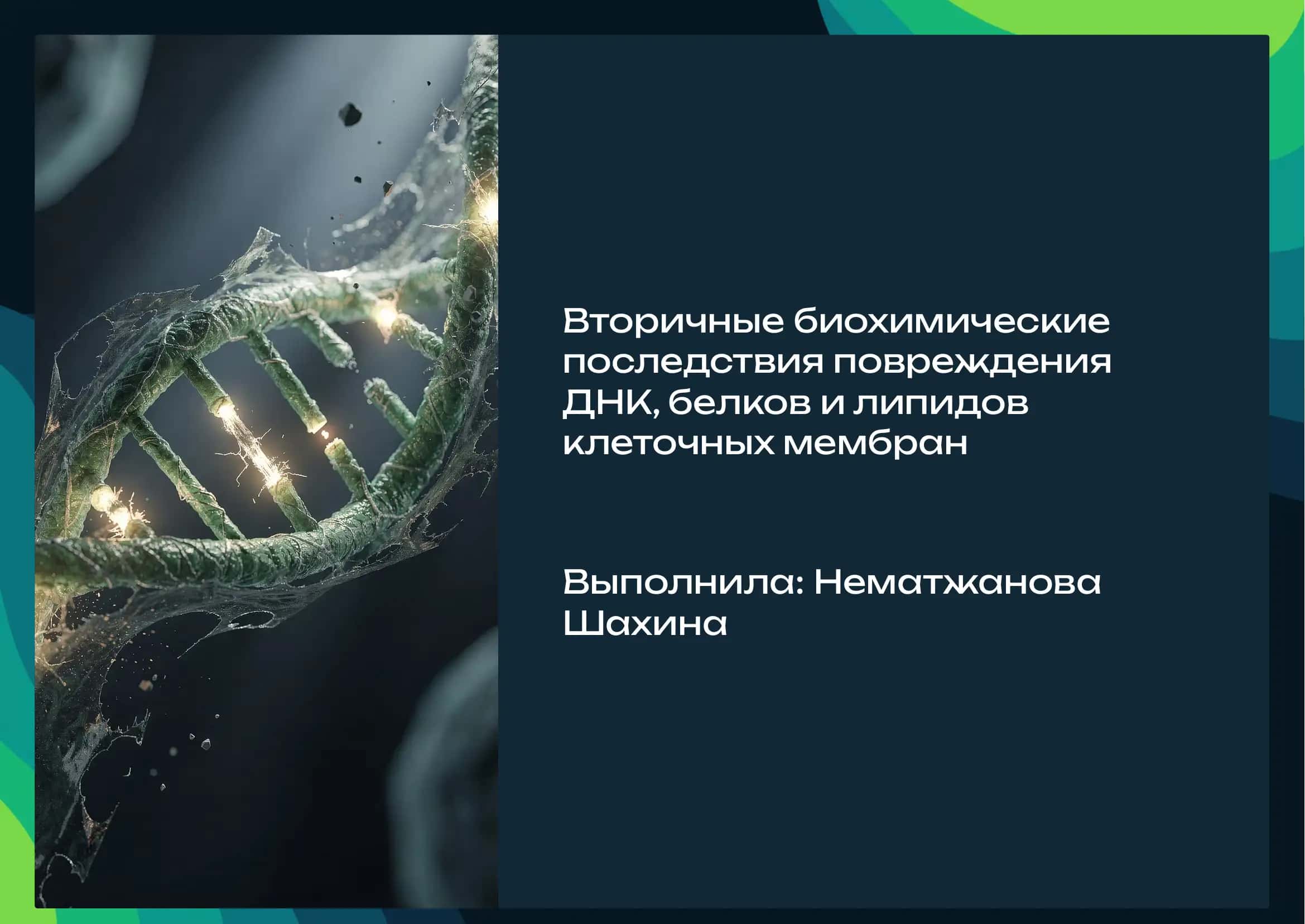 Вторичные биохимические последствия Повреждение ДНК, белков и липидов клеточных мембран. 1