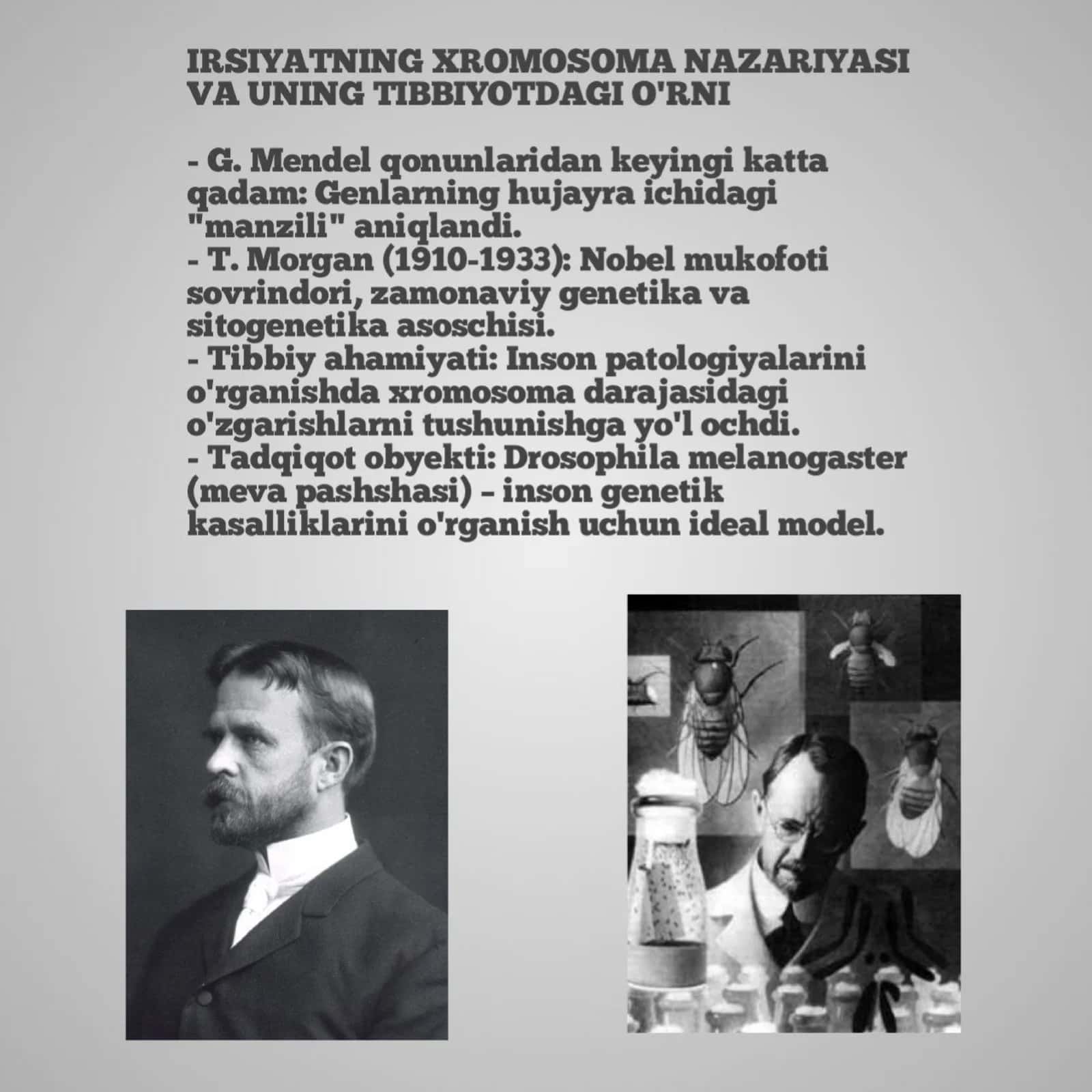 Morganning xromosoma nazariyasi va uning tibbiyotdagi o'rni 1