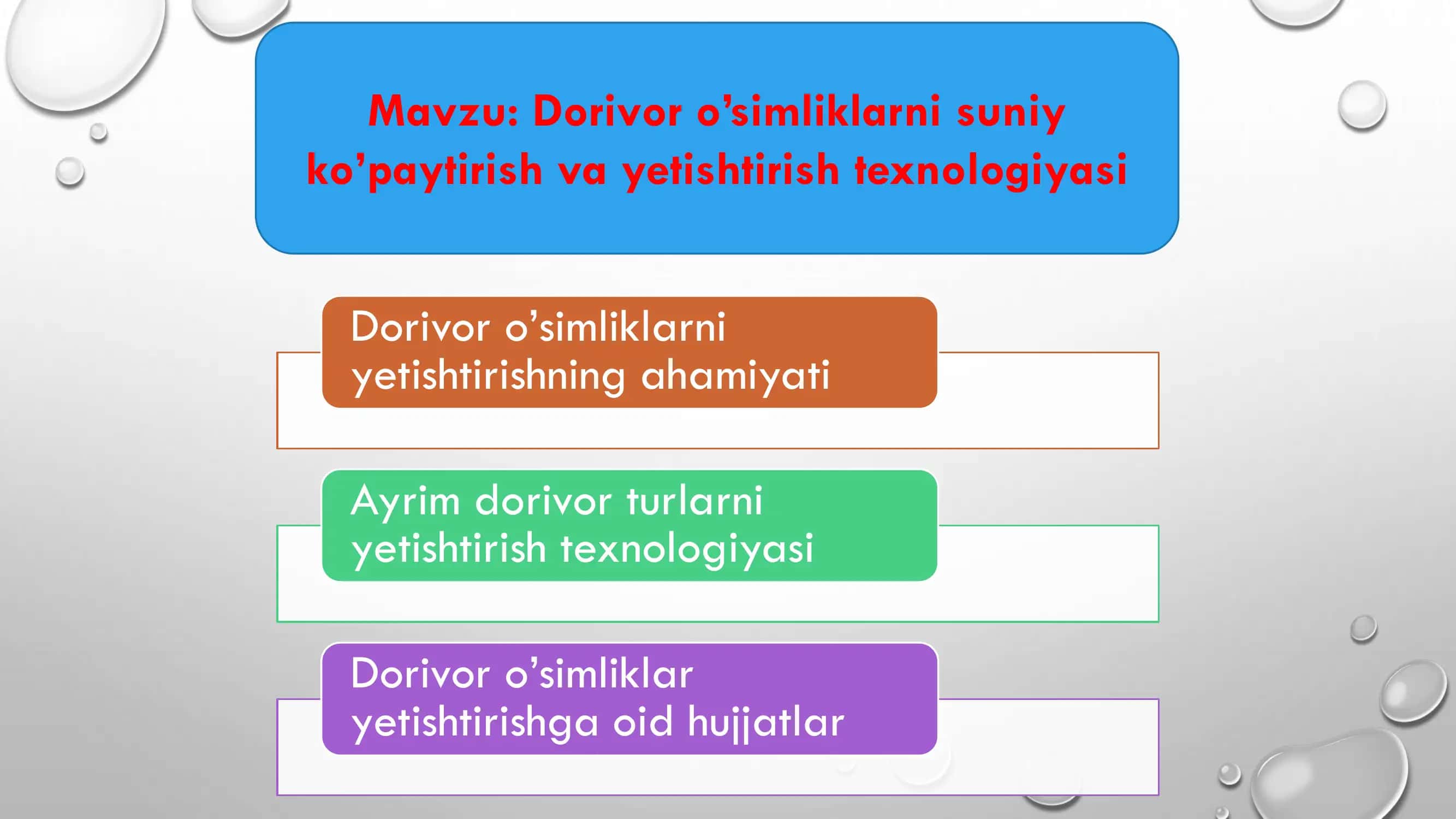 Dorivor o’simliklarni suniy ko’paytirish va yetishtirish texnologiyasi 1