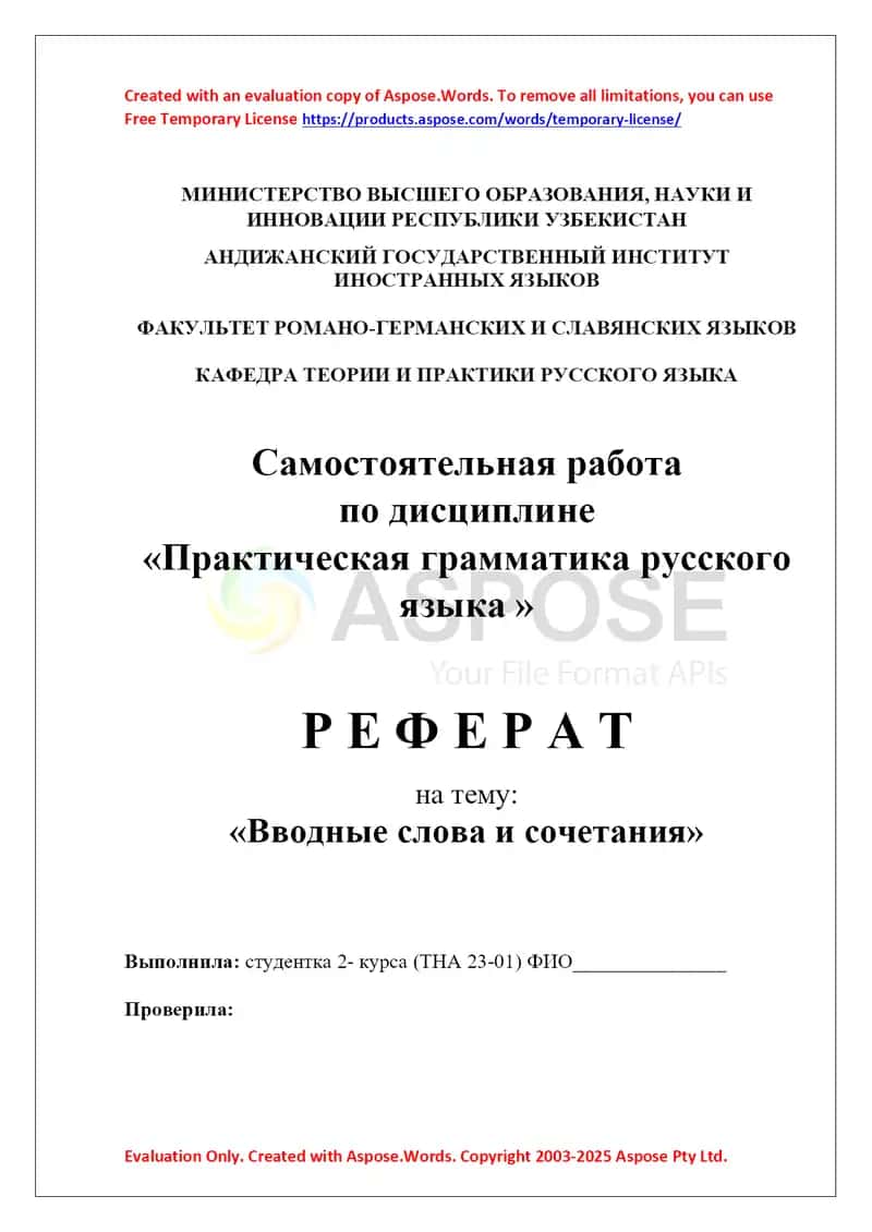 Реферат по дисциплине «Практическая грамматика русского языка» на тему «Вводные слова и сочетания» 1
