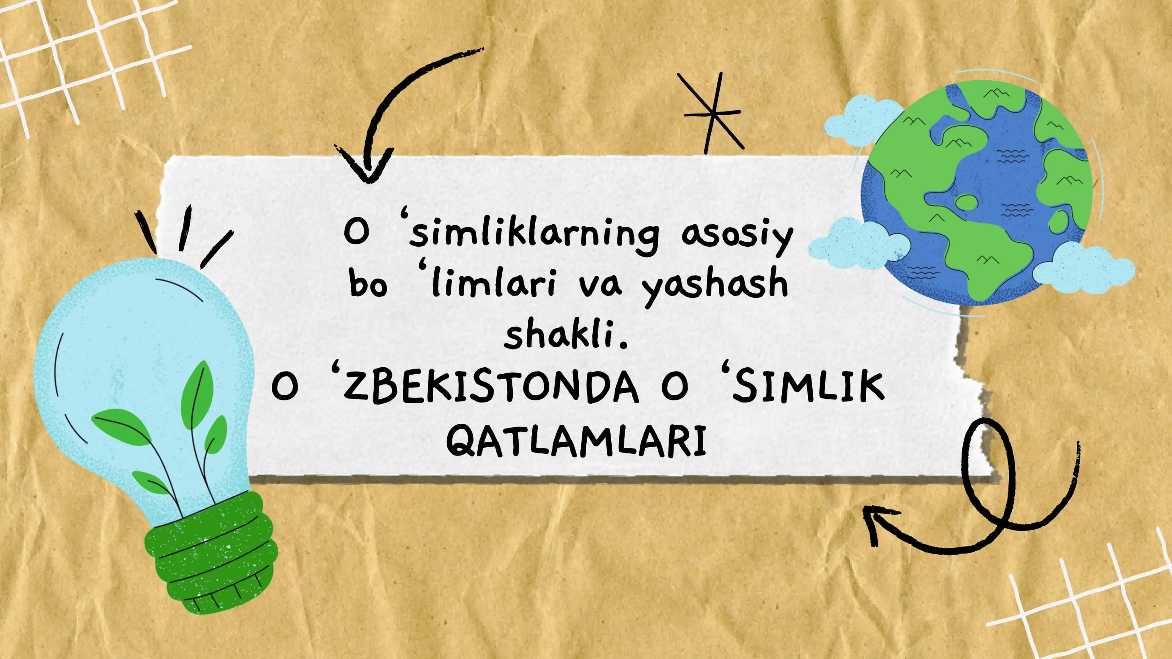 O‘zbekistonda O‘simlik Qatlamlari 1