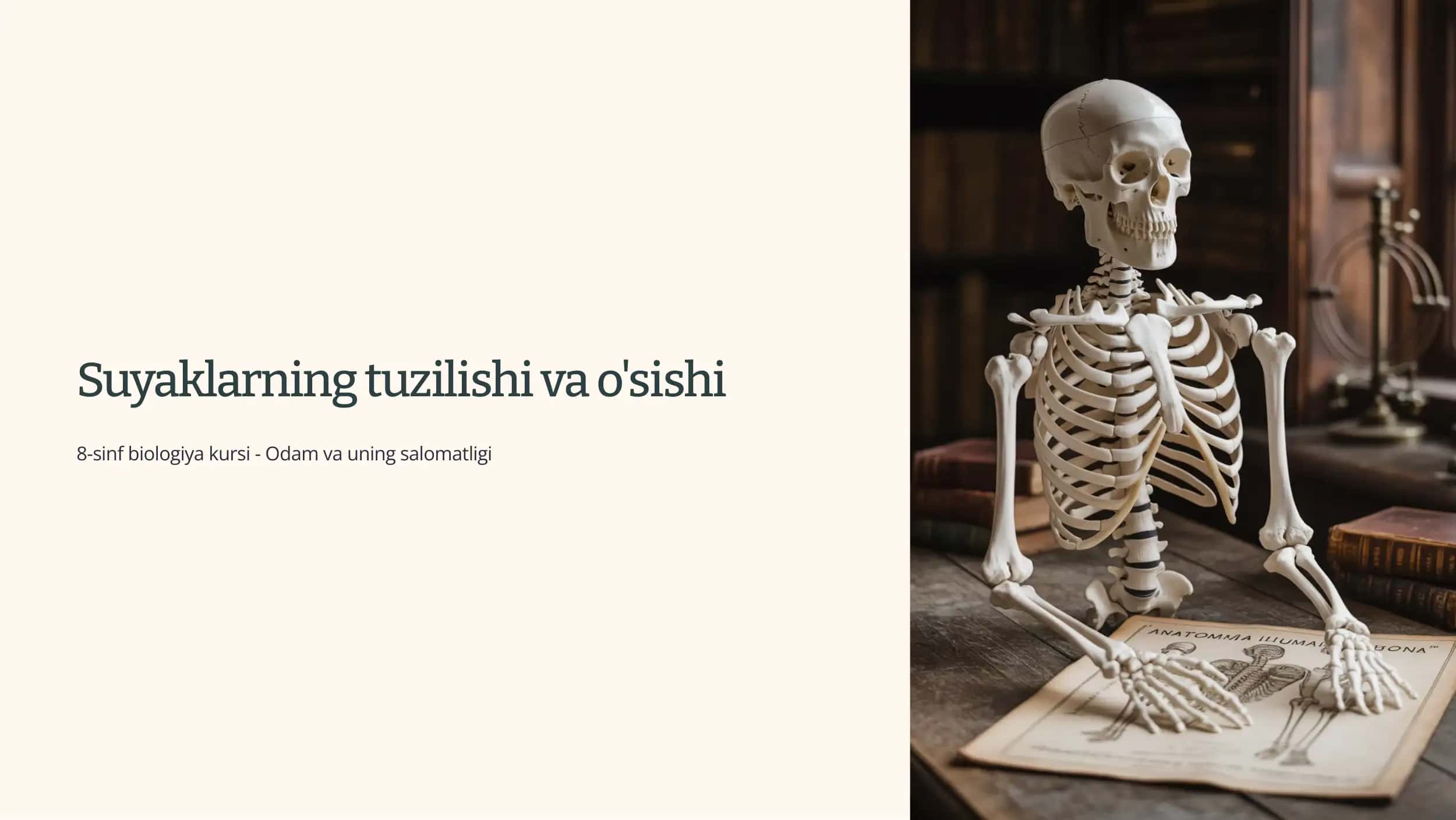 Suyaklarning tuzilishi va o'sishi 1