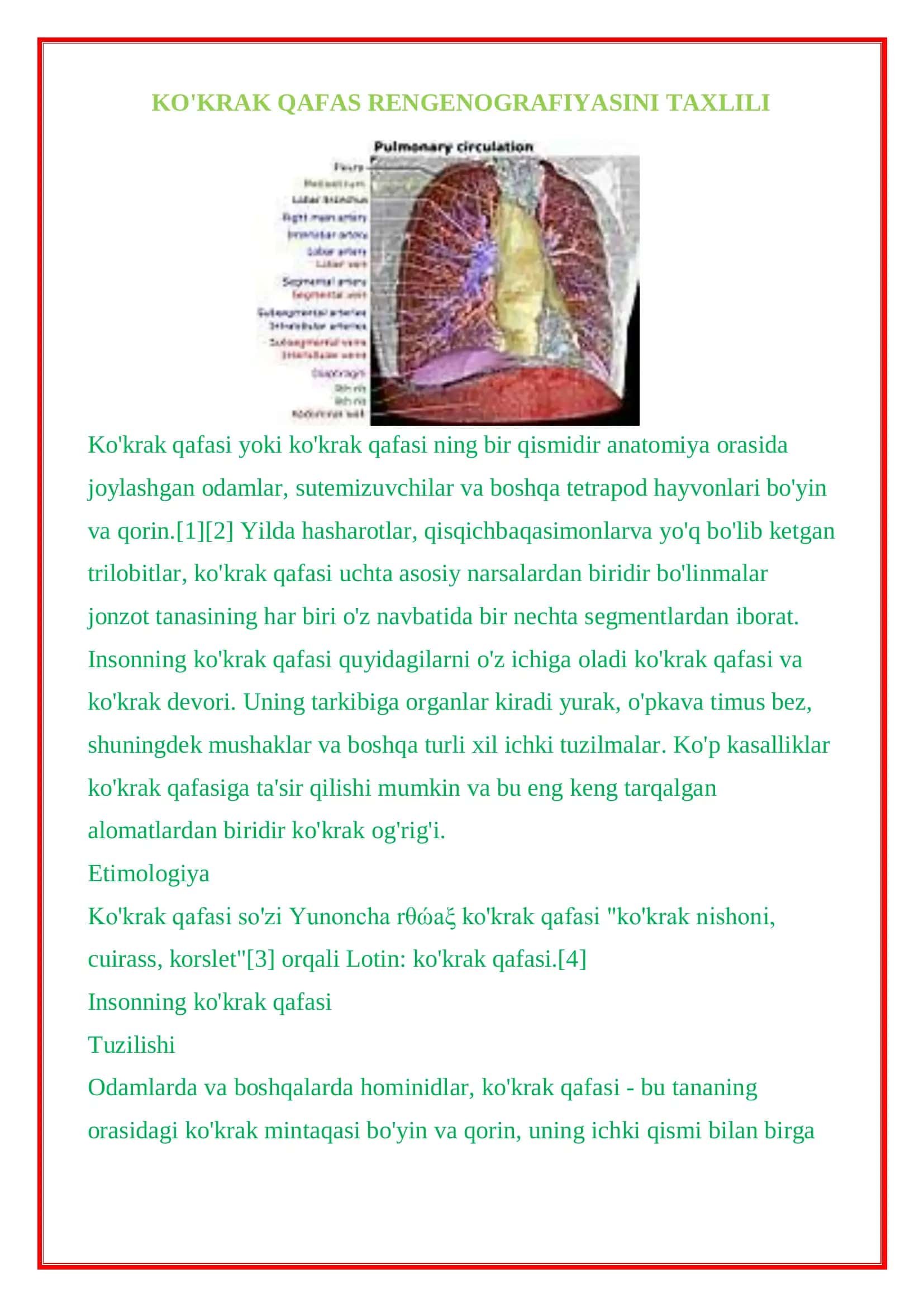 Ko'krak qafasining rentgenografiyasi 1
