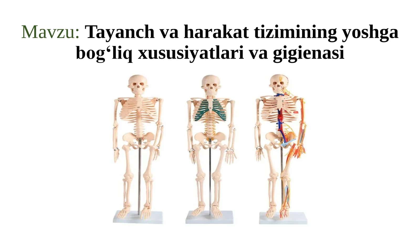 Tayanch va harakat tizimining yoshga bog‘liq xususiyatlari va gigiyenasi 1