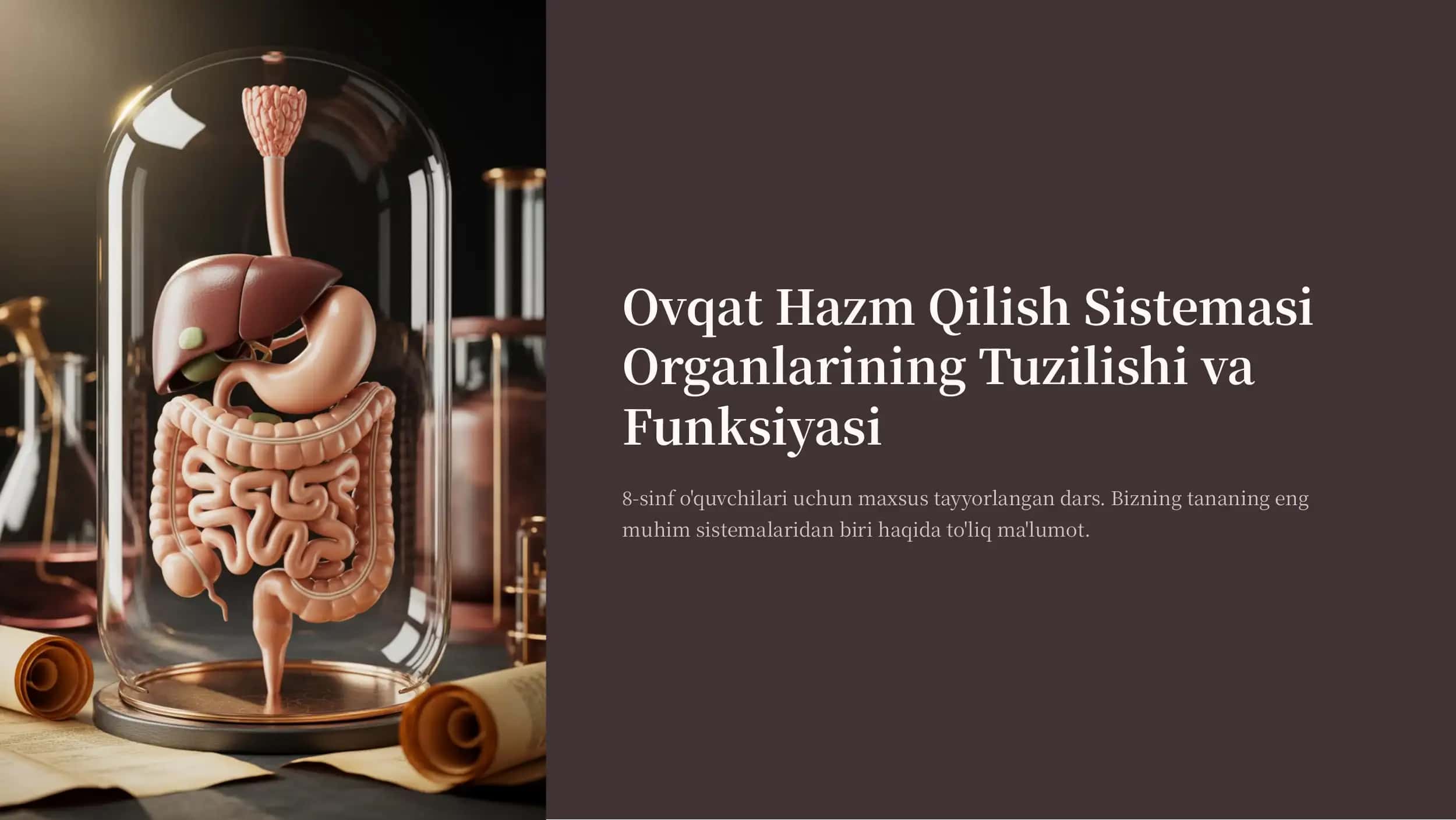 Ovqat Hazm Qilish Sistemasi Organlarining Tuzilishi va Funksiyasi 1