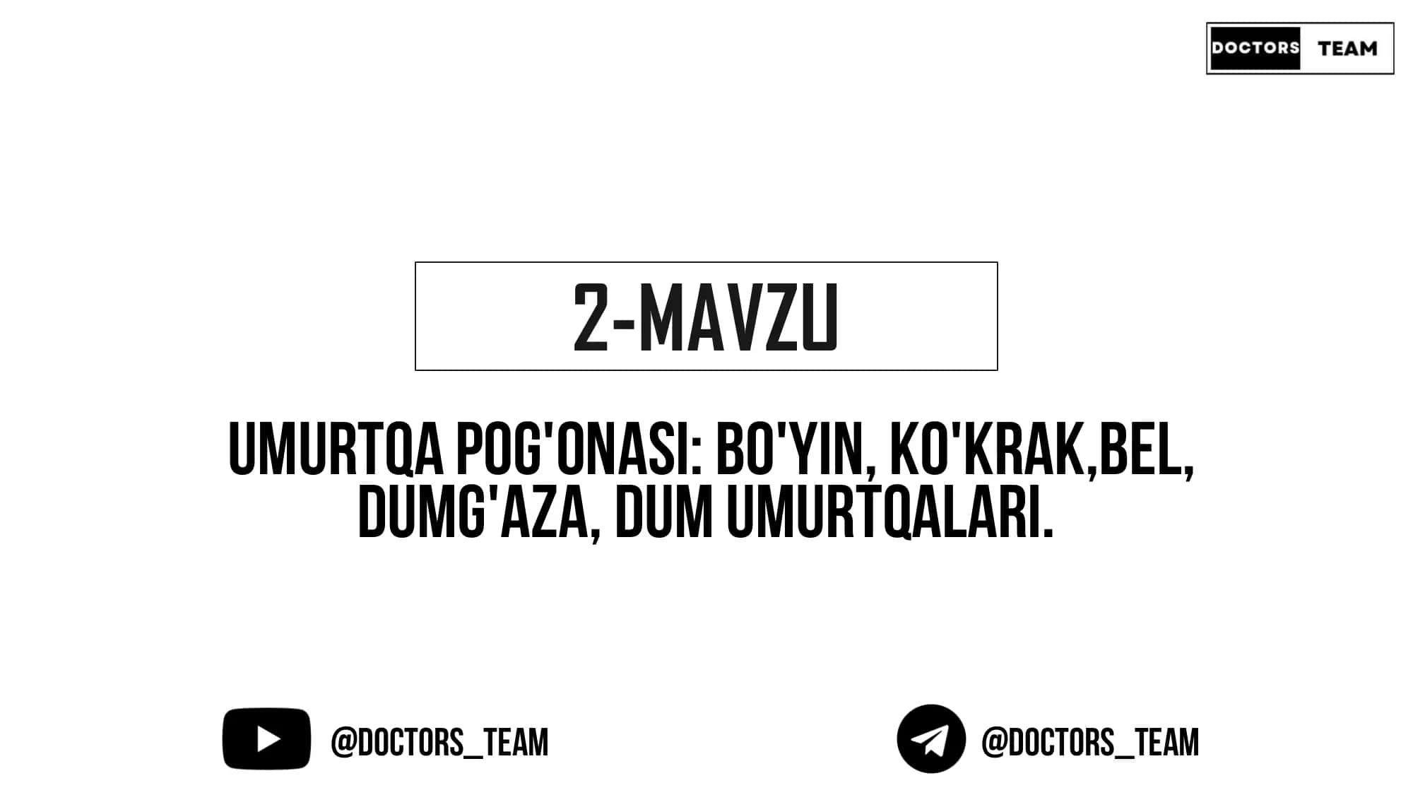 Umurtqa pog'onasi 1