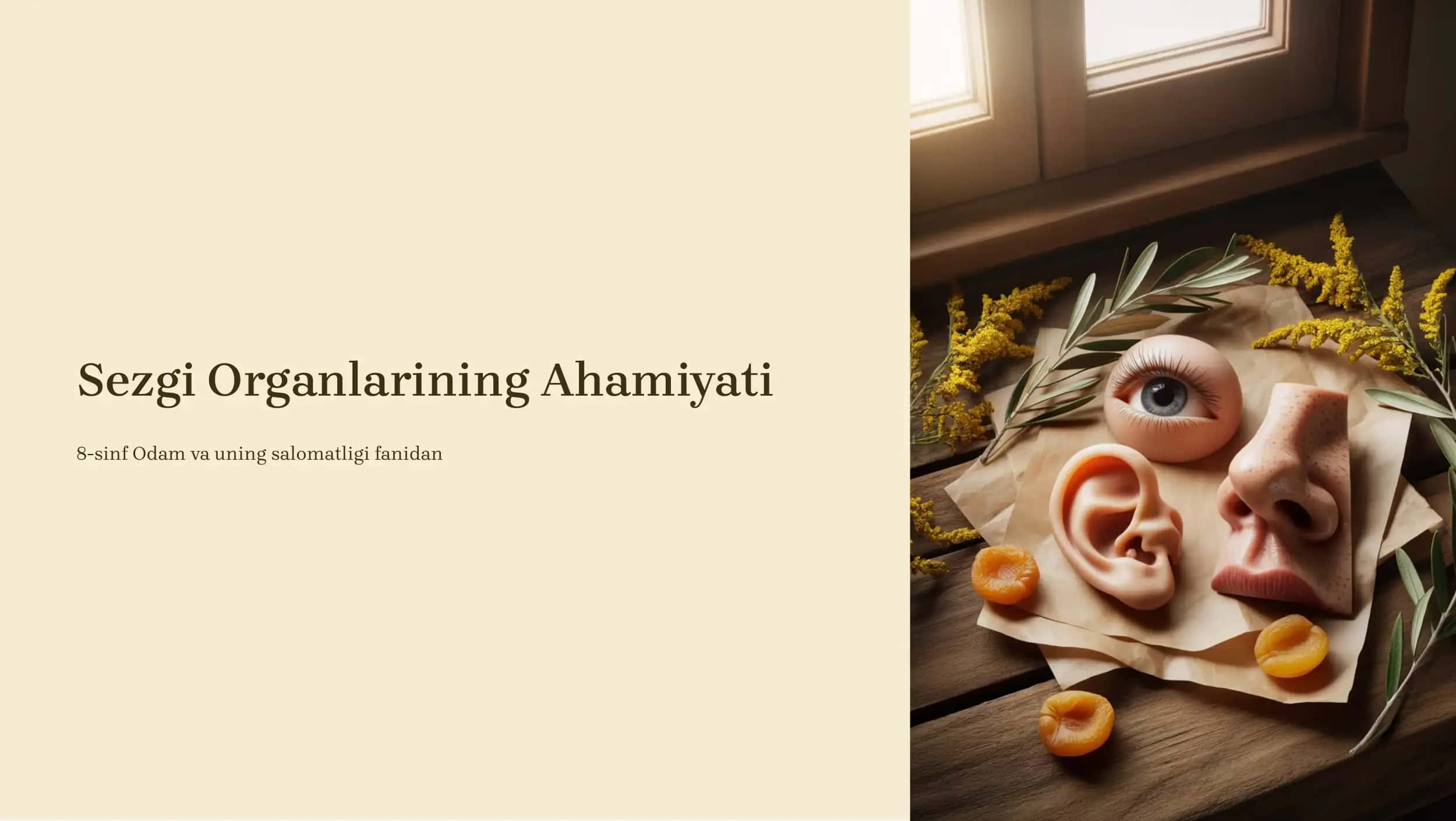 Sezgi Organlarining Ahamiyati 1