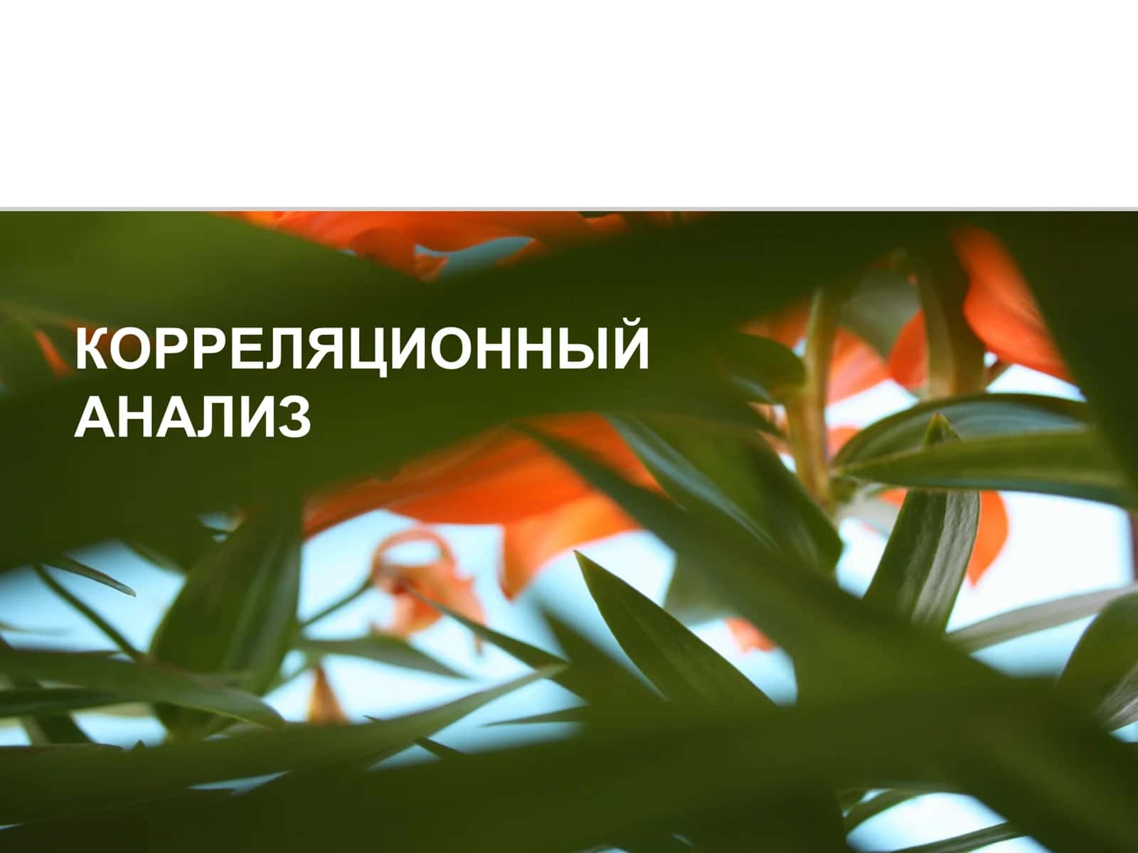 КОРРЕЛЯЦИОННЫЙ АНАЛИЗ 1