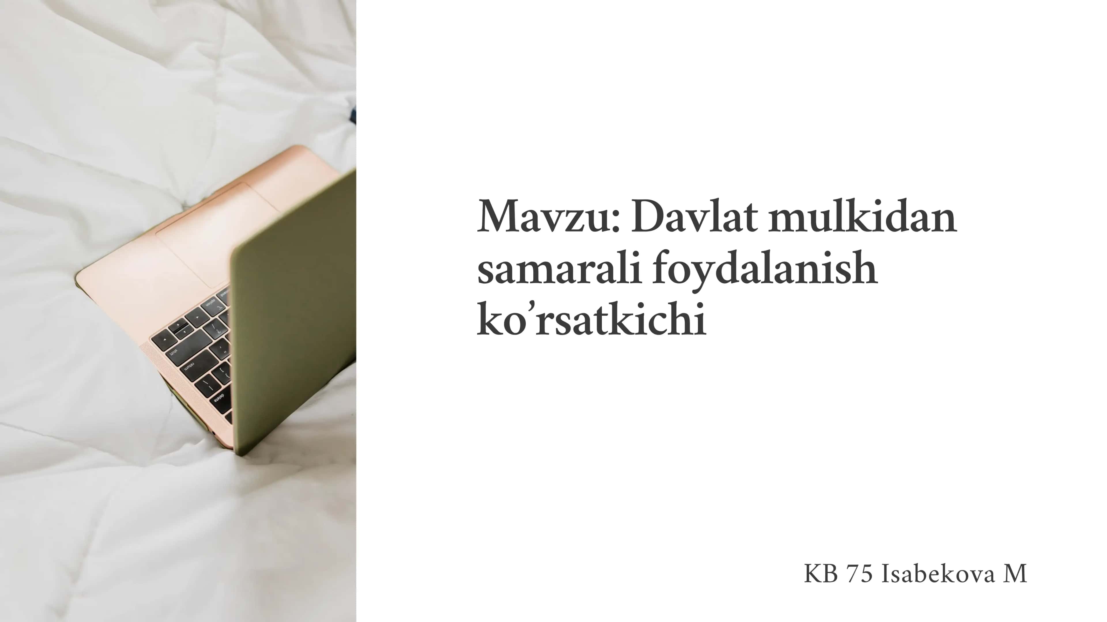 Davlat mulkidan samarali foydalanish ko’rsatkichi 1