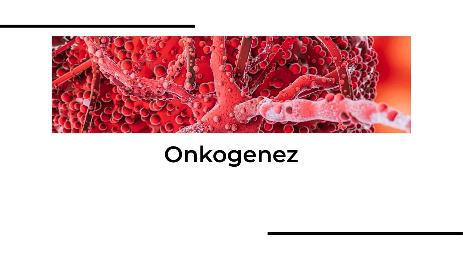 Onkogenez 1