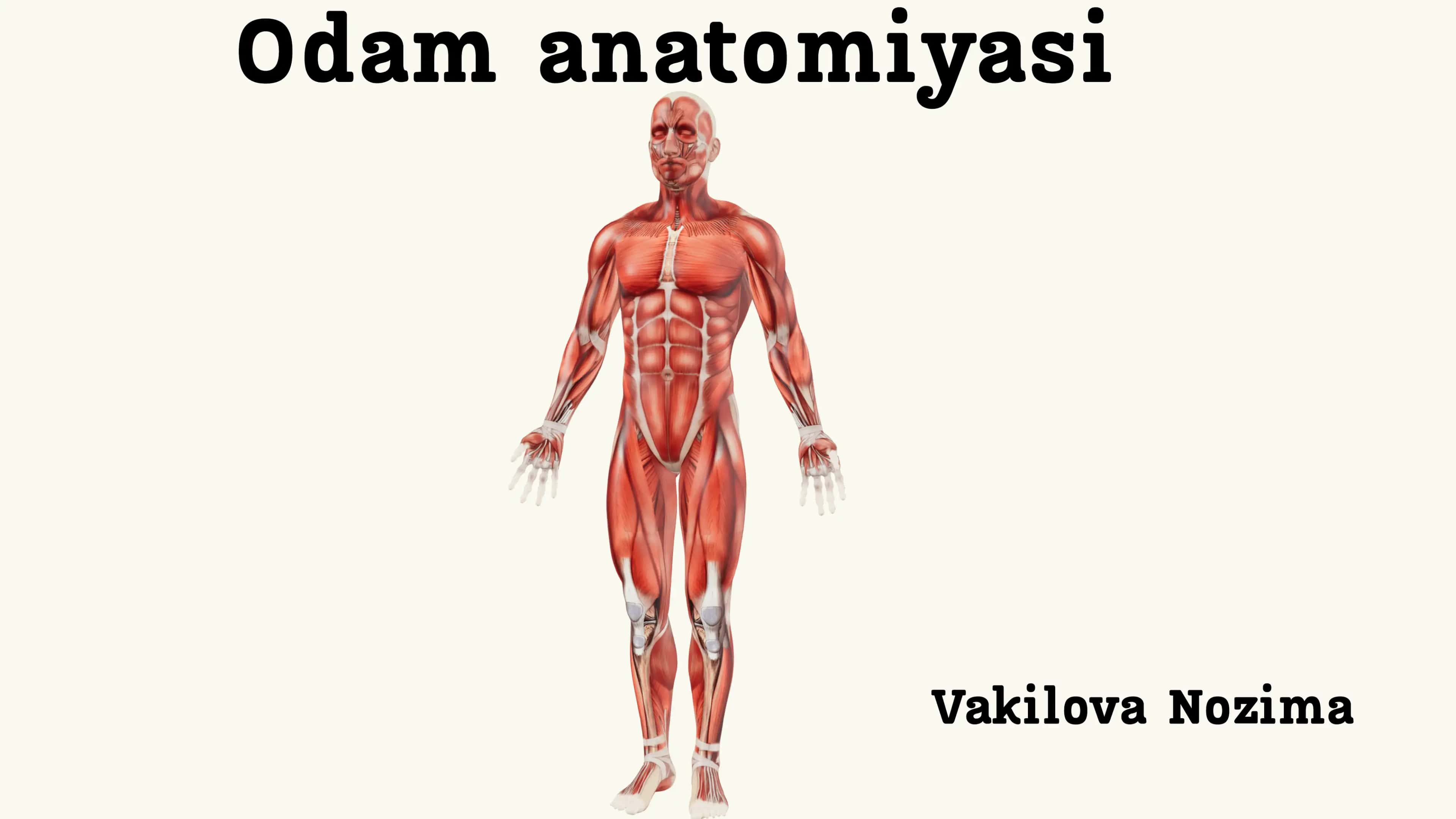 Mushaklarning ishi biomexanikasi 1