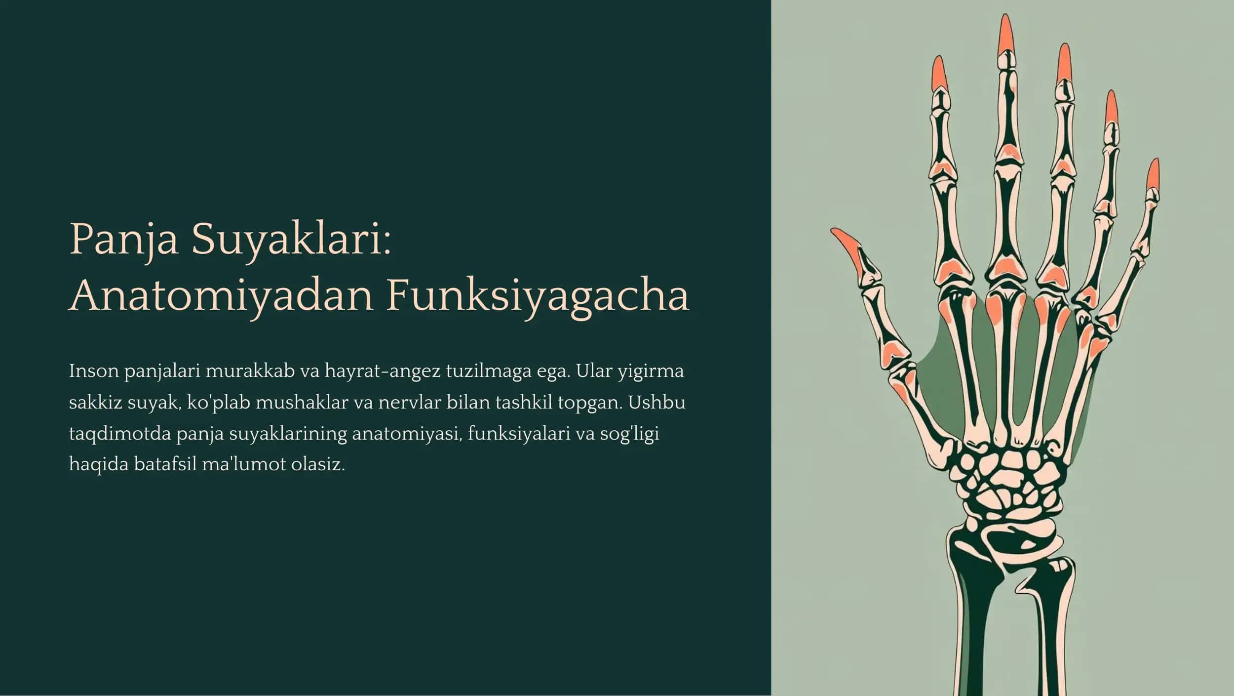 Panja Suyaklari 1
