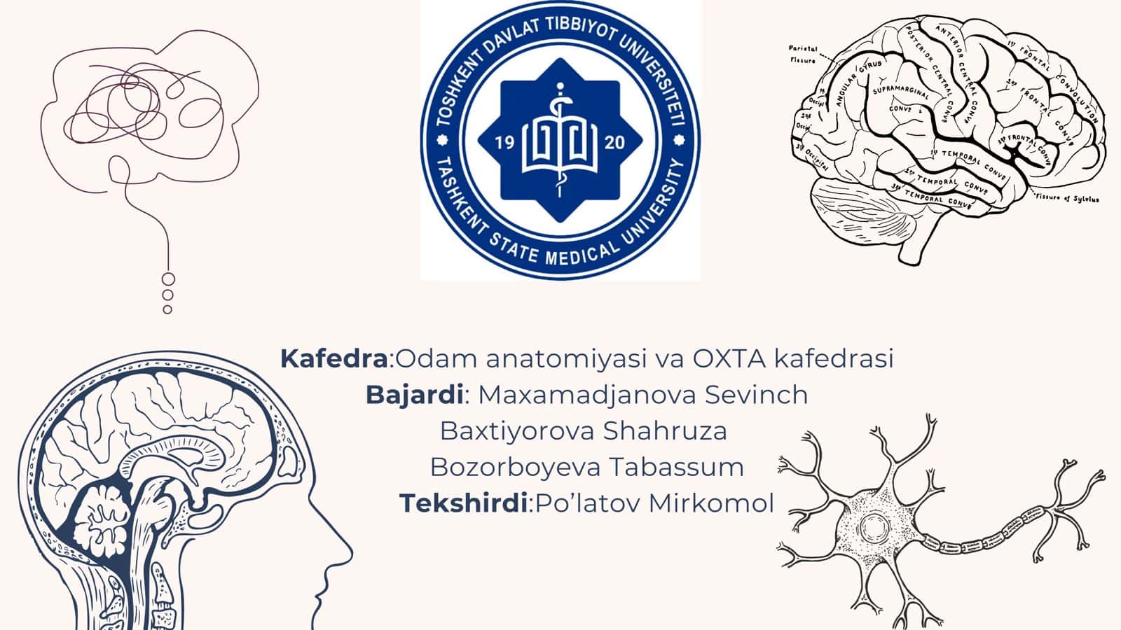 Elka chigalining hosil bo‘lishi va uning qisqa shoxlari. Elkachigalining uzun shoxlari. Qo‘l terisining innervatsiyasi 1