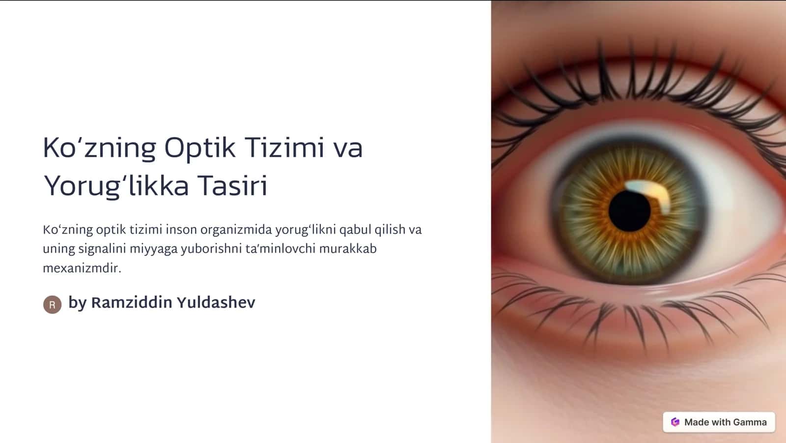 Koʻzning Optik Tizimi va Yorugʻlikka Tasiri 1