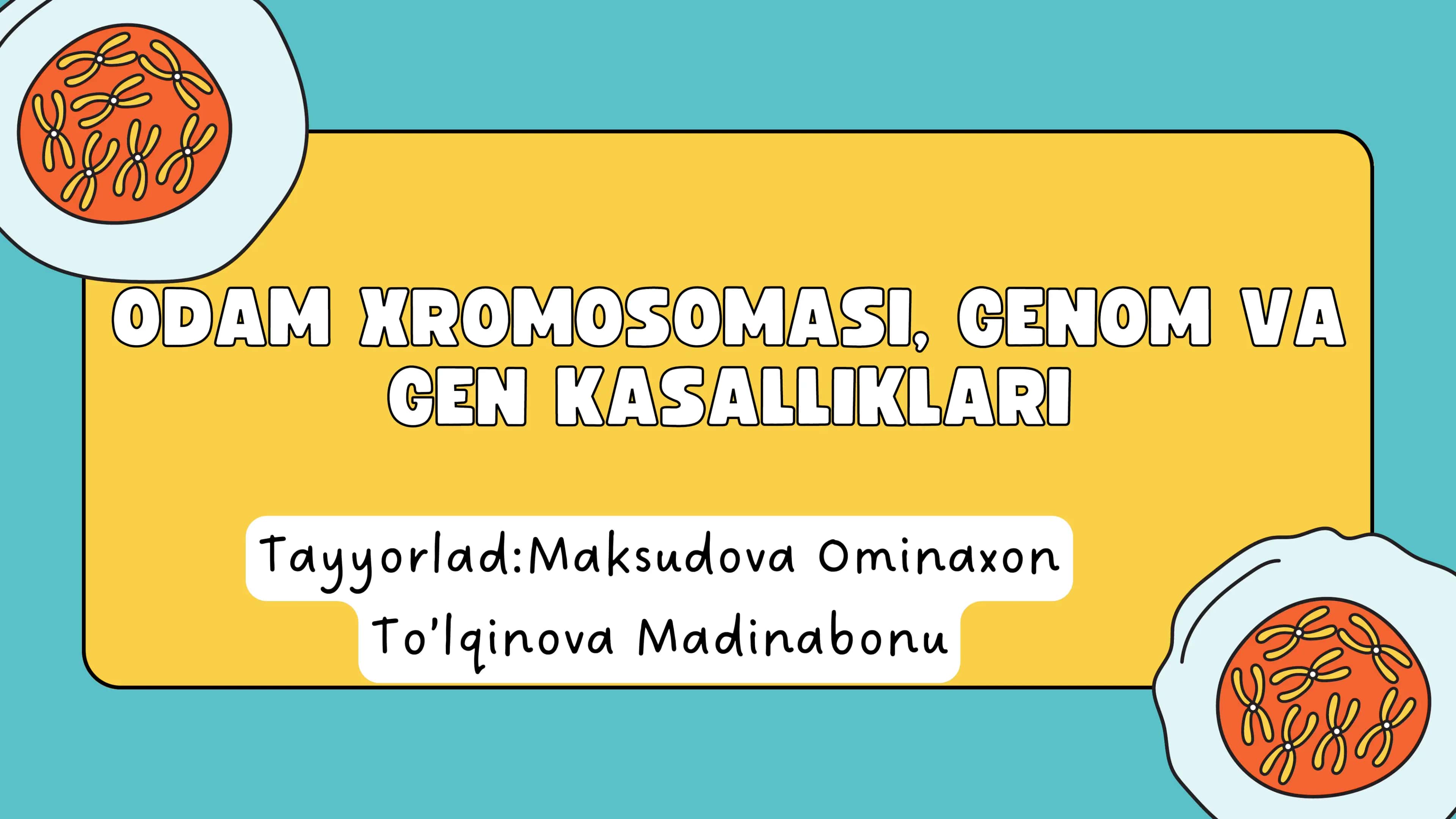 ODAM XROMOSOMASI, GENOM VA GEN KASALLIKLARI 1
