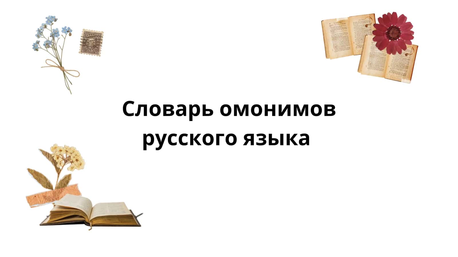 Словарь омонимов русского языка 1