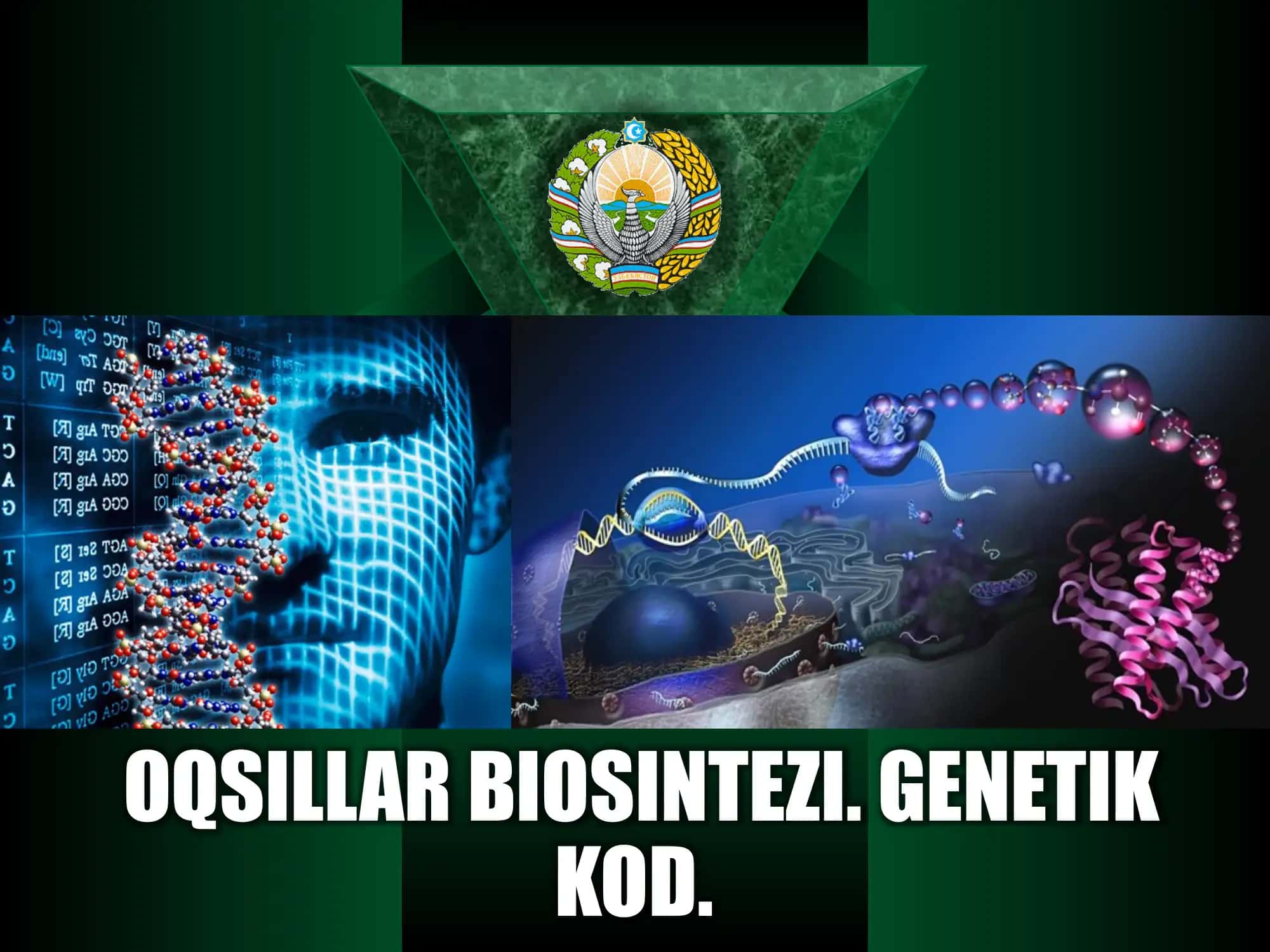 Oqsillar biosintezi. Genetik kod 1