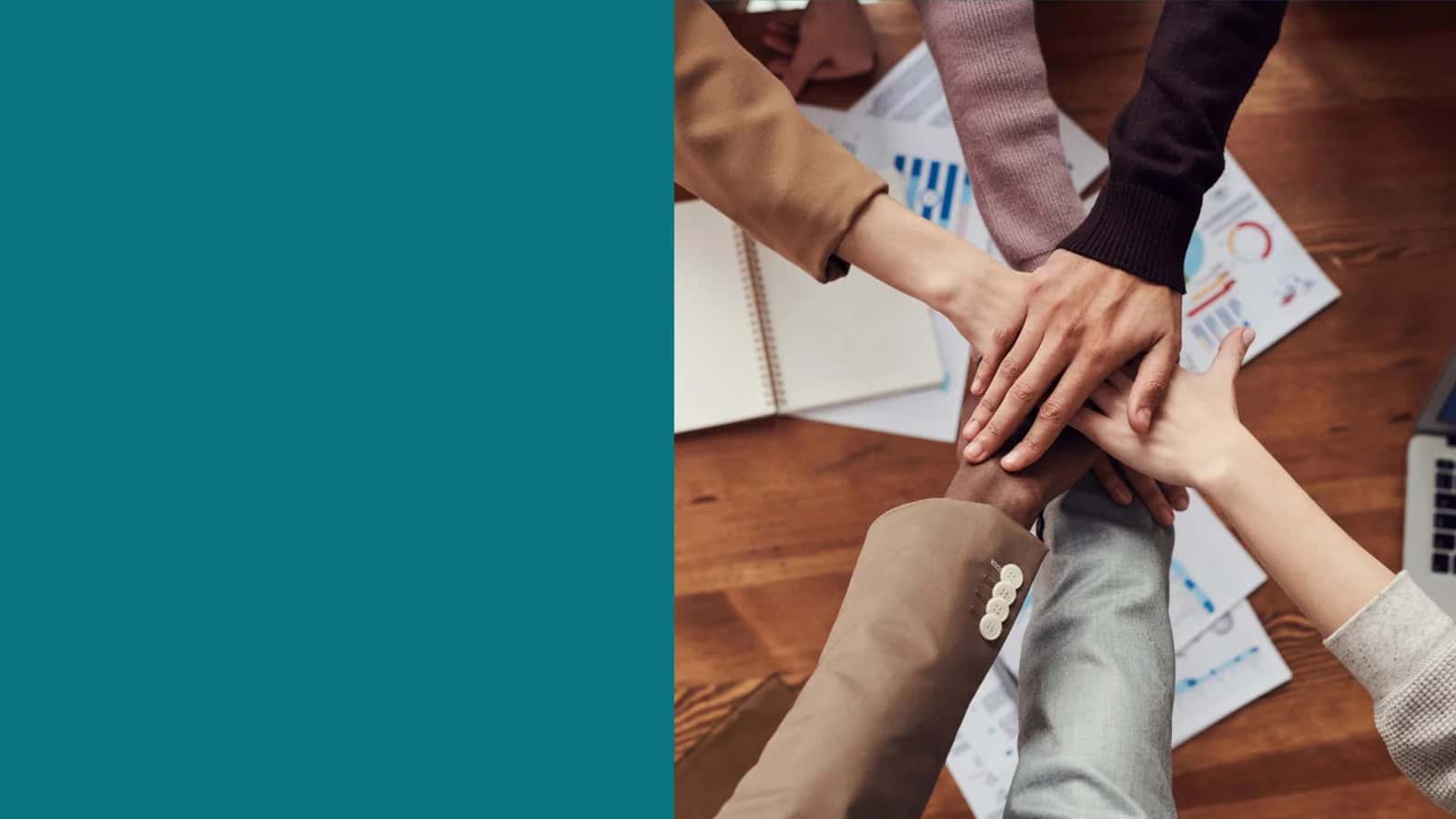 olia faoliyati ilmiy markazi 1