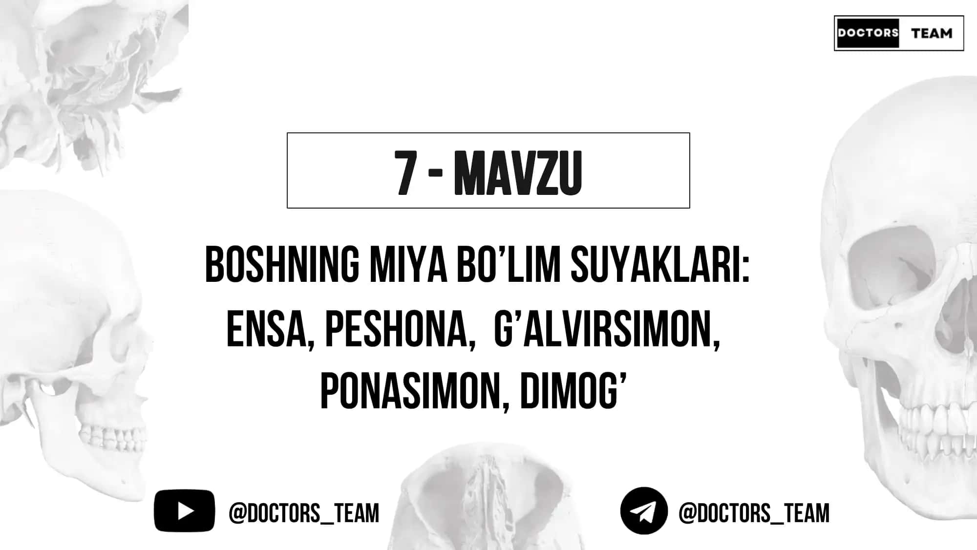 Boshning miya bo’lim suyaklari 1