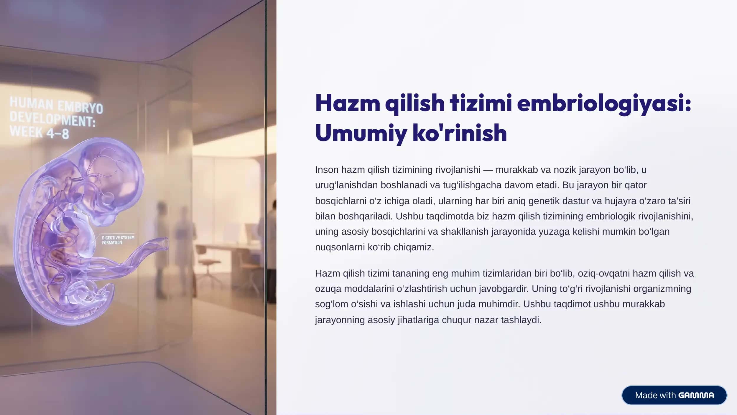 Hazm qilish tizimi embriologiyasi 1