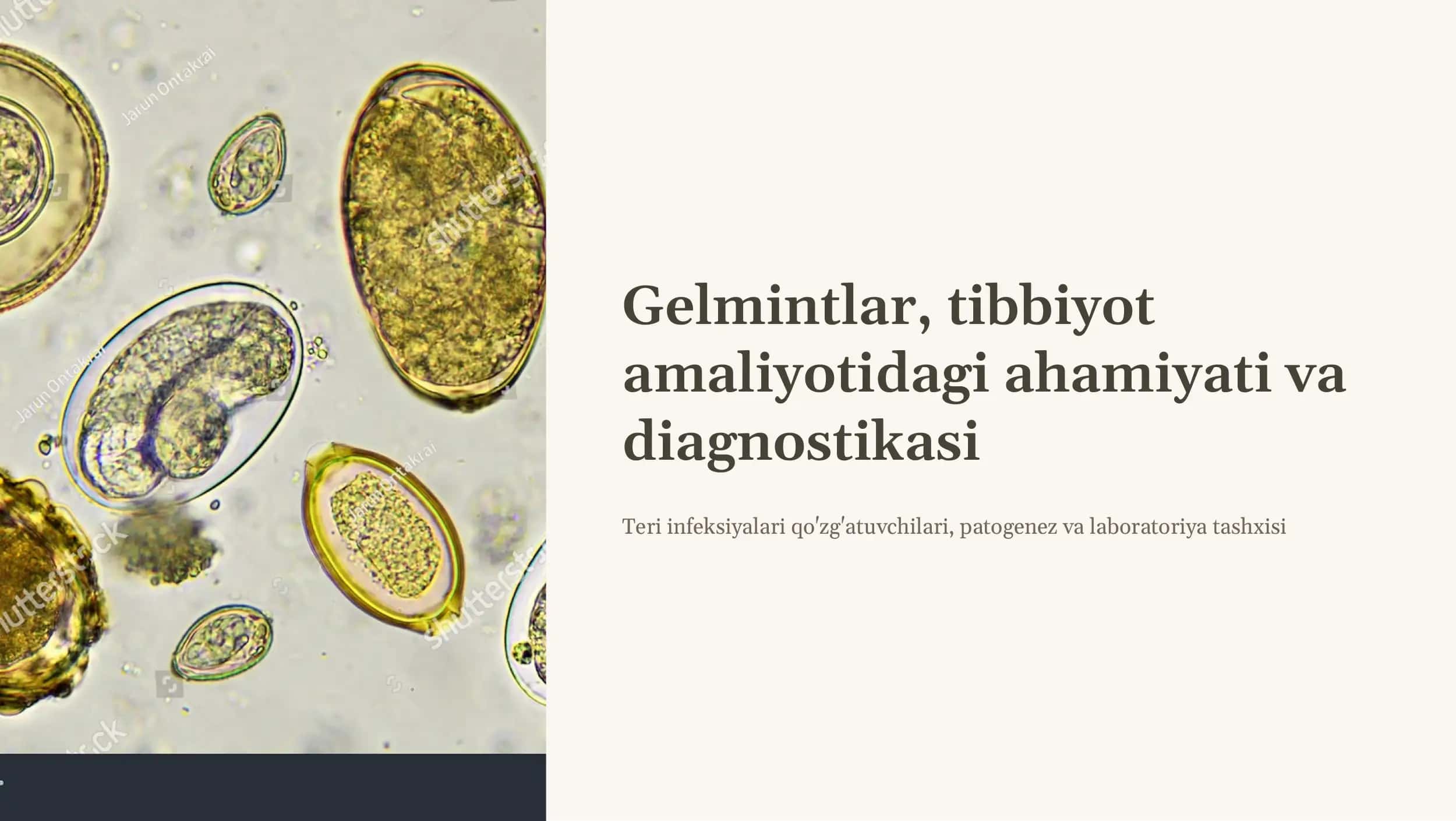 Gelmintlar, tibbiyot amaliyotidagi ahamiyati va  diagnostikasi. Teri infektsiyalari qo'zg'atuvchilari,  patogenez, laboratoriya tashxisi. 1