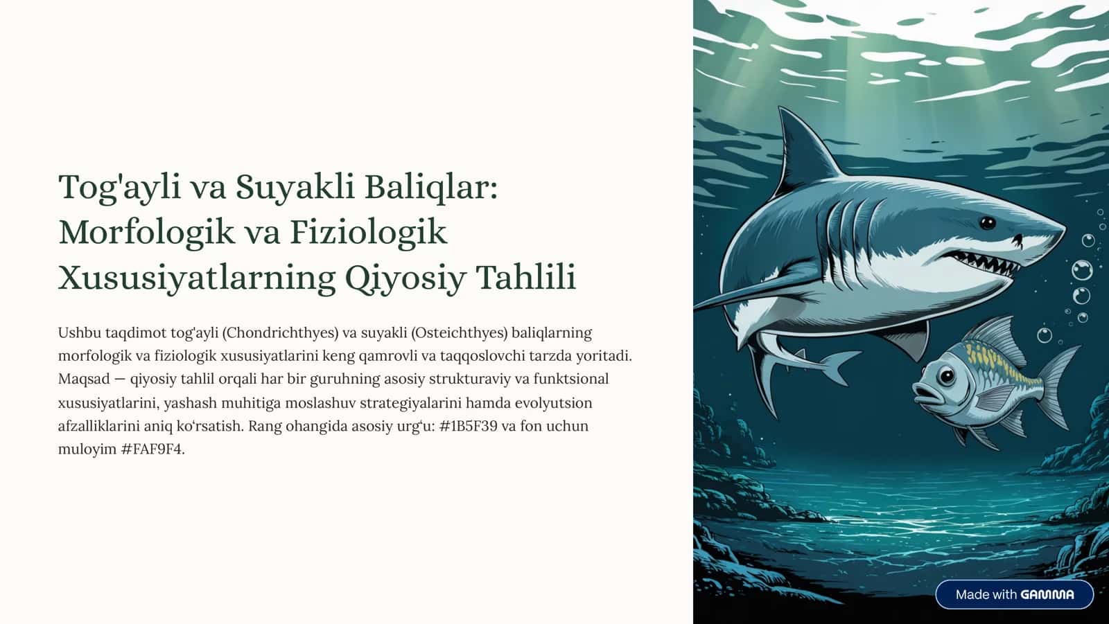 Tog'ayli va Suyakli Baliqlar: Morfologik va Fiziologik Xususiyatlarning Qiyosiy Tahlili 1