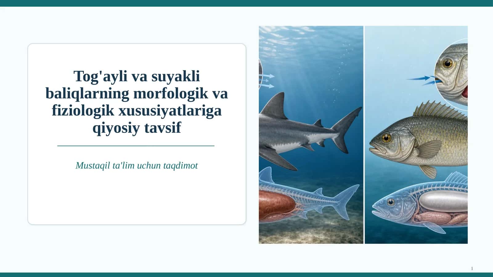 Baliq anatomiyasi va fiziologiyasi 1