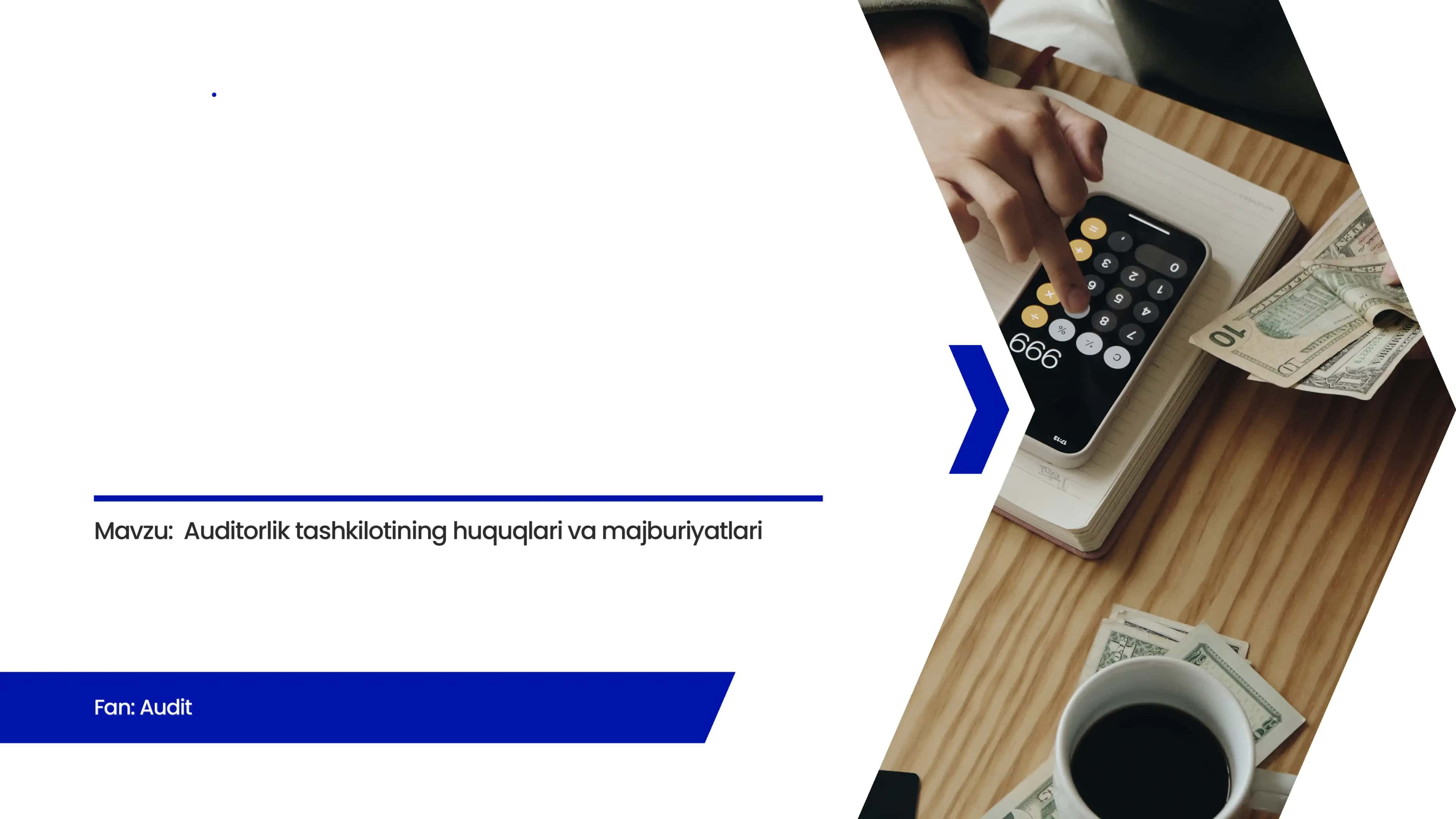 Auditorlik tashkilotlarining huquq va majburiyatlari 1