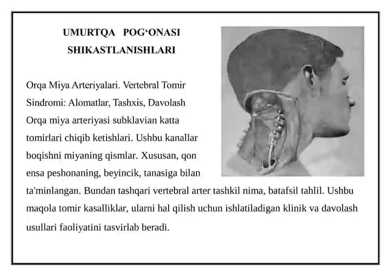 UMURTQA POG‘ONASI
