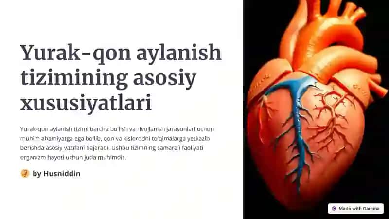 Yurak-qon aylanish tizimi