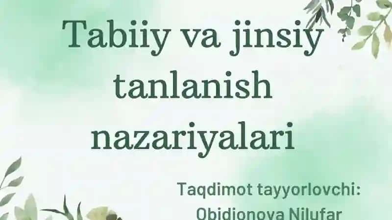 Evolutsiya nazariyasi