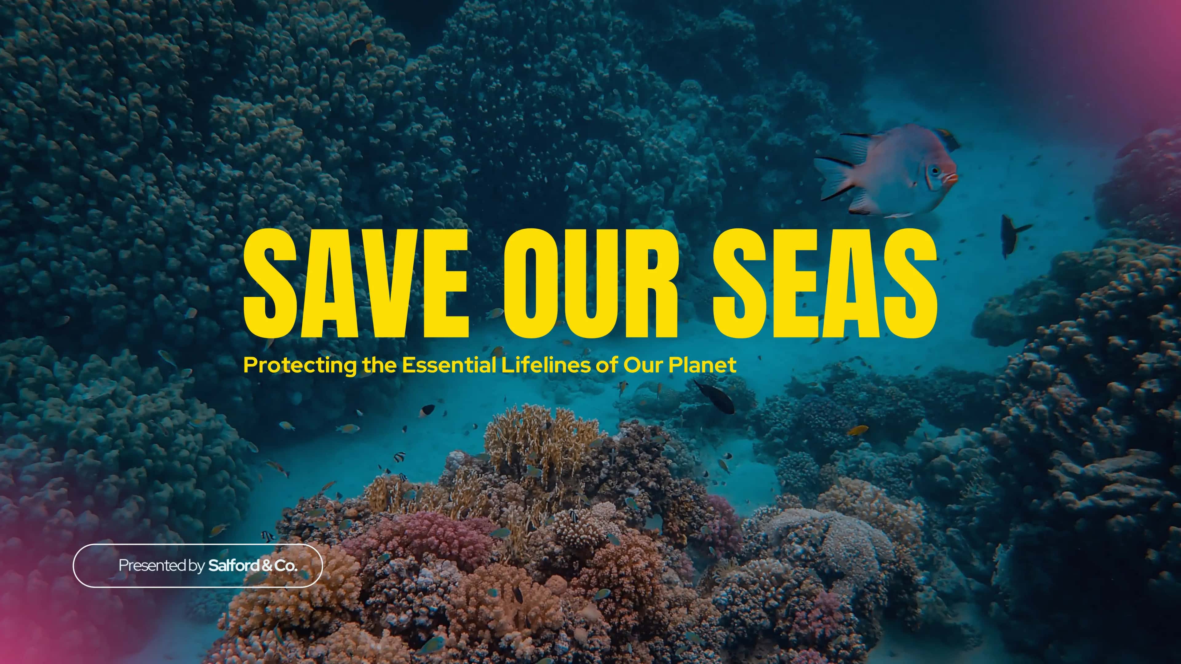 THE IMPACT OF OCEAN POLLUTION 1