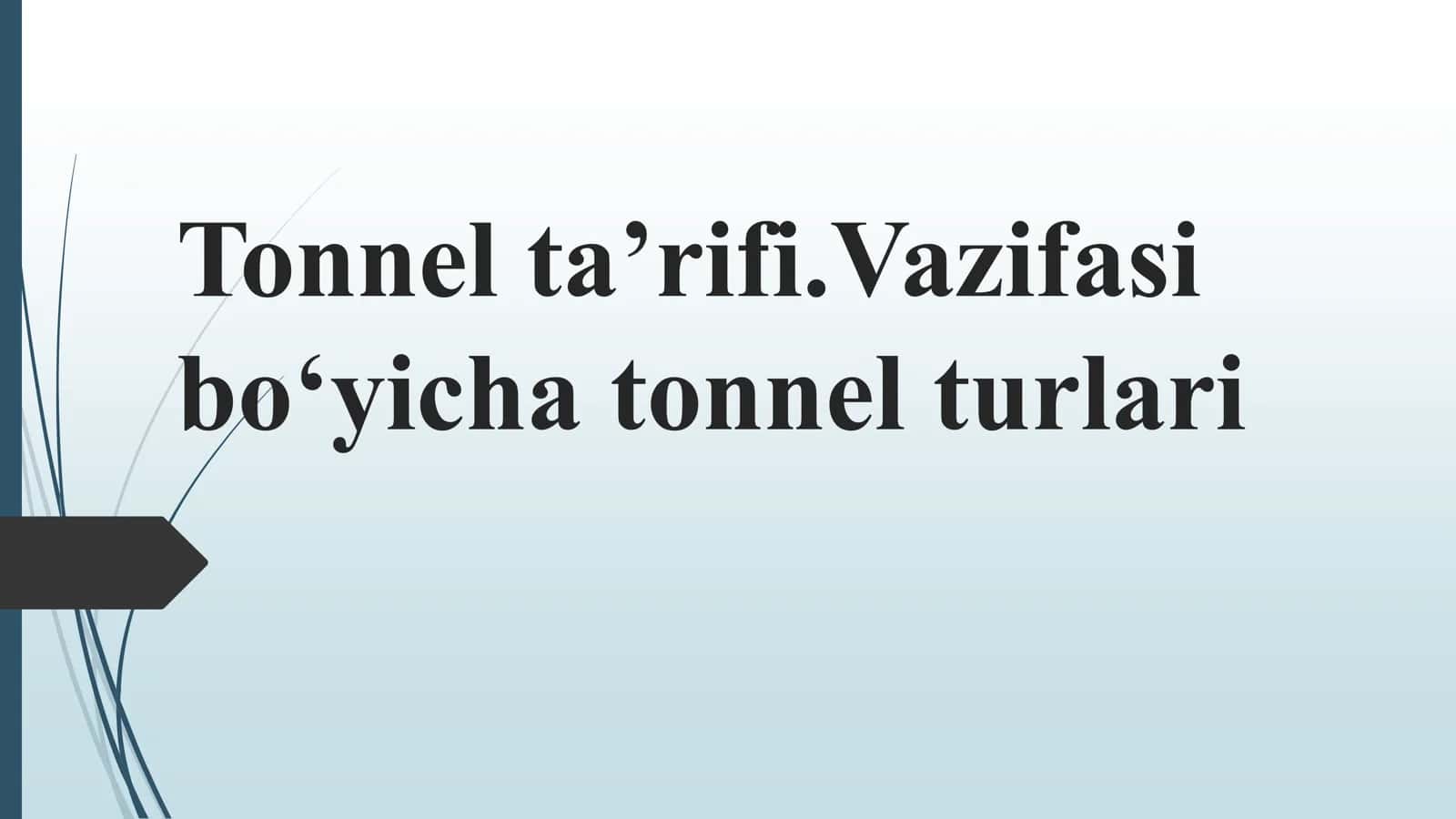 Tonnel ta’rifi.Vazifasi bo‘yicha tonnel turlari 1
