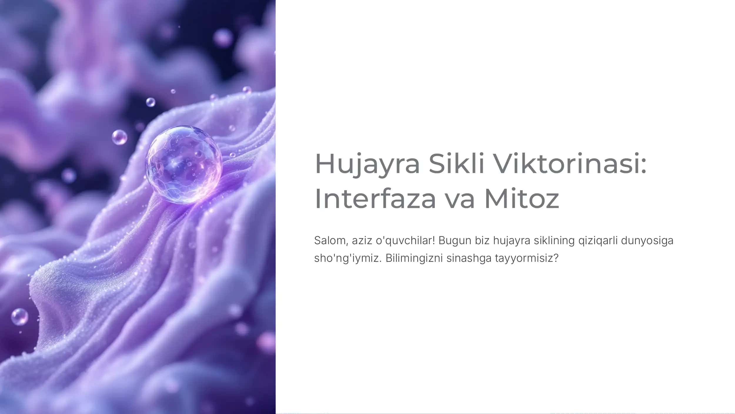 Hujayra Sikli Viktorinasi: Interfaza va Mitoz 1