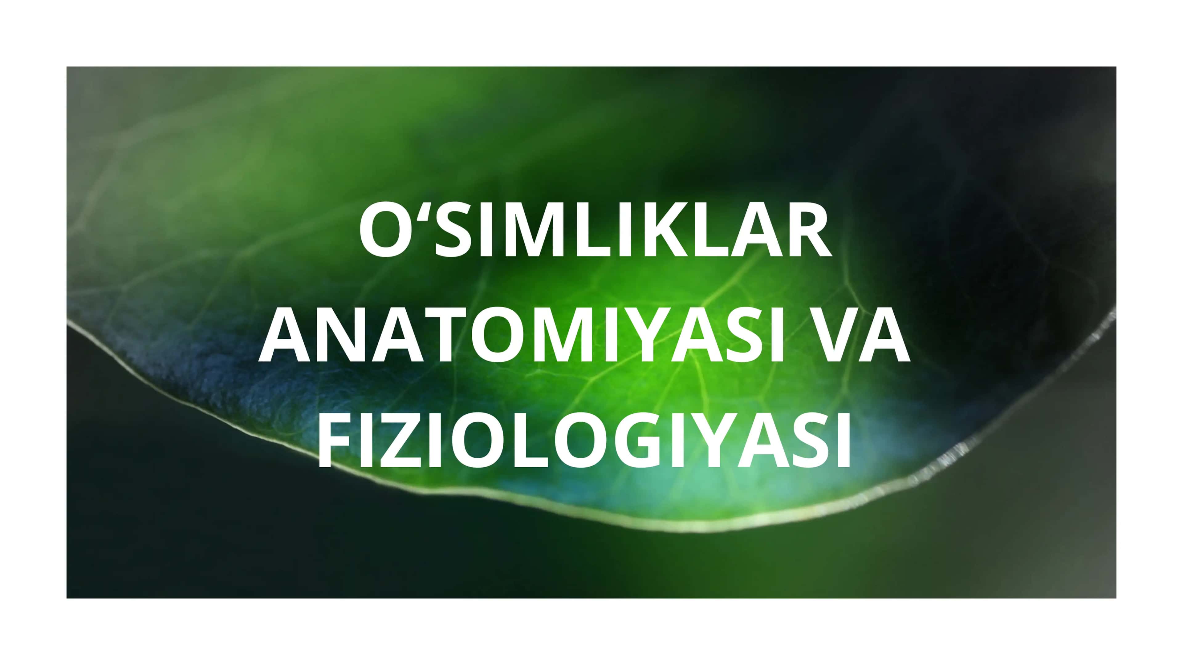 O'simliklar ANATOMIYASI VA FIZIOLOGIYASI 1